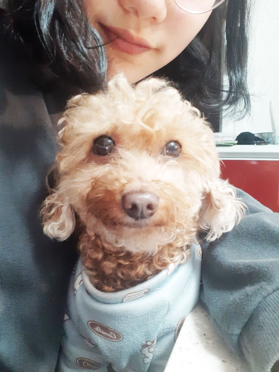 2017.9.15. 미지가 왔어요