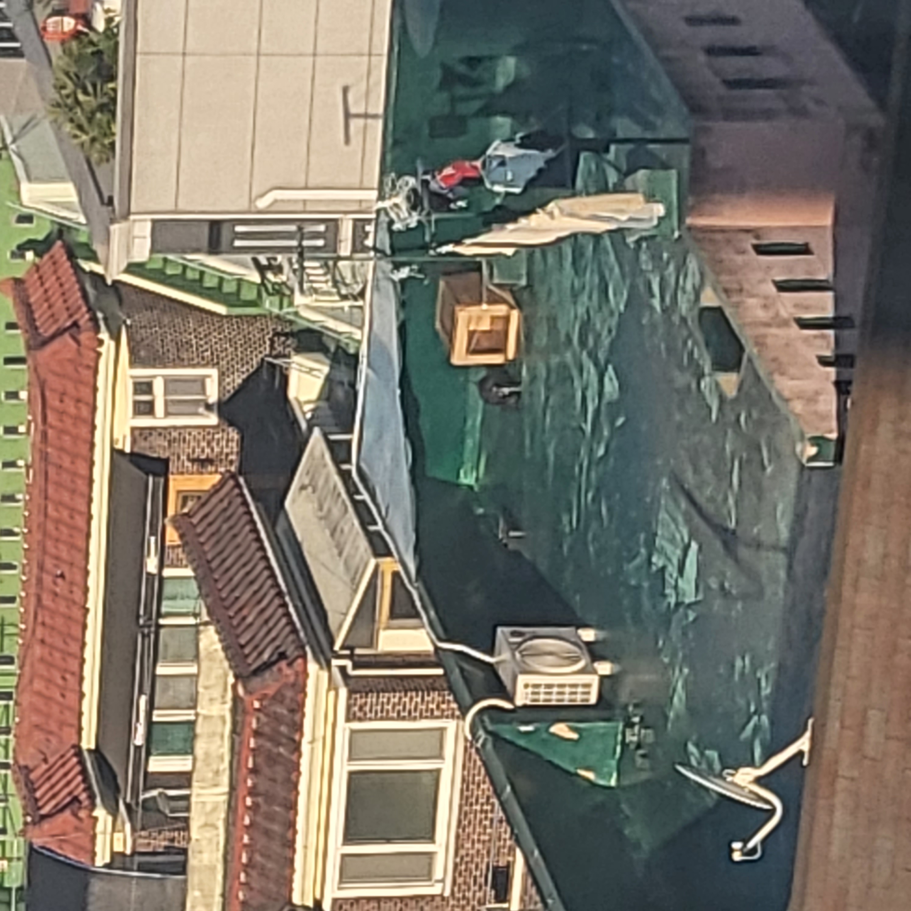 개 옥상에 방치와 폭행
