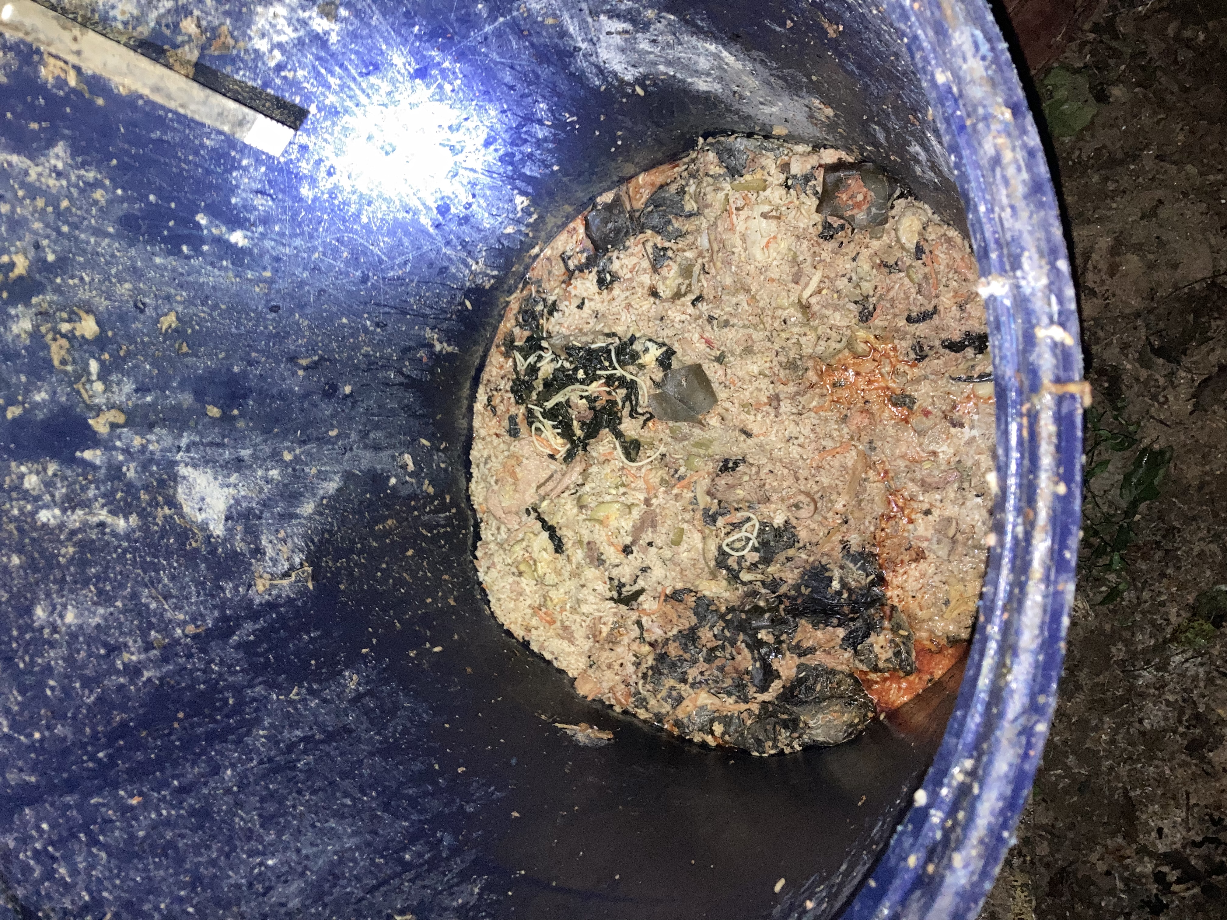 춘천시 뜬장 안 수십마리의 강아지들 구조해주세요