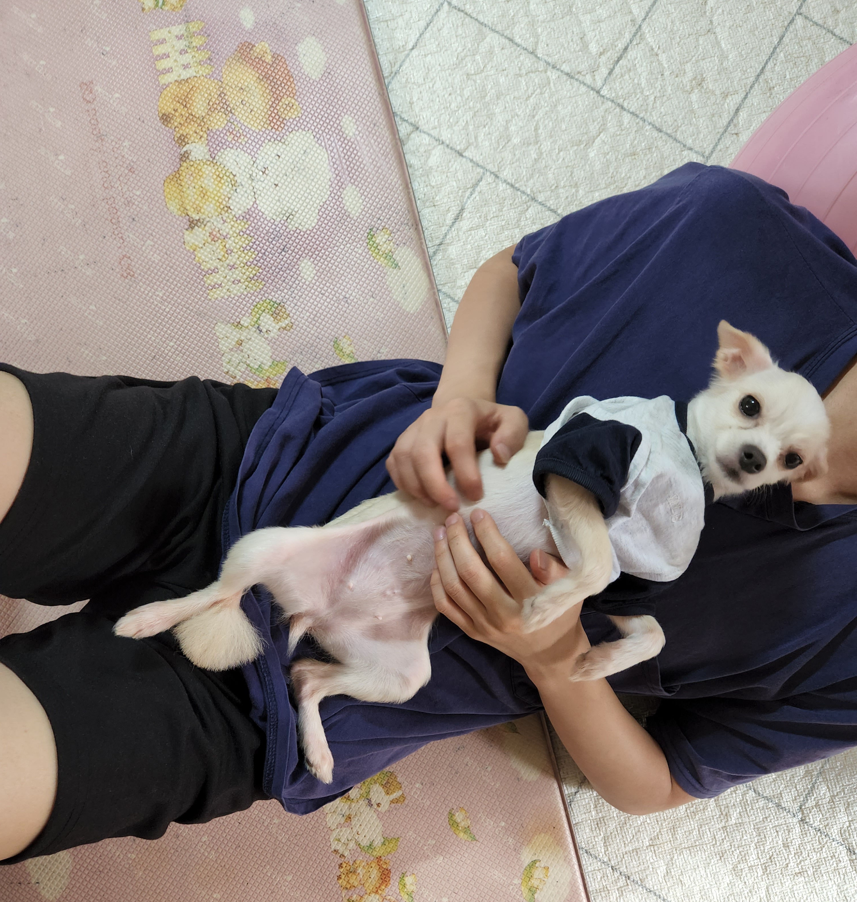 토리(가나)와의  한달후기ᆢ