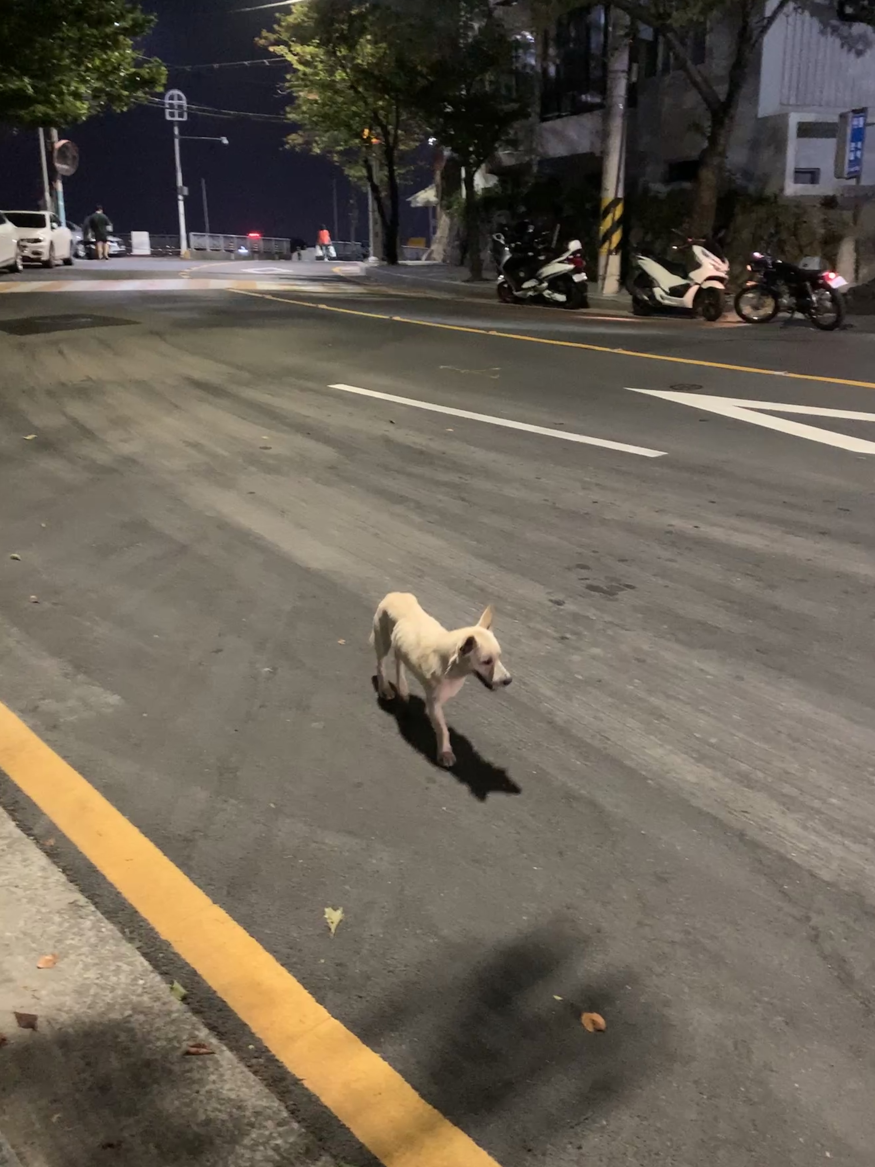 구조의 손길이 필요해보입니다. 