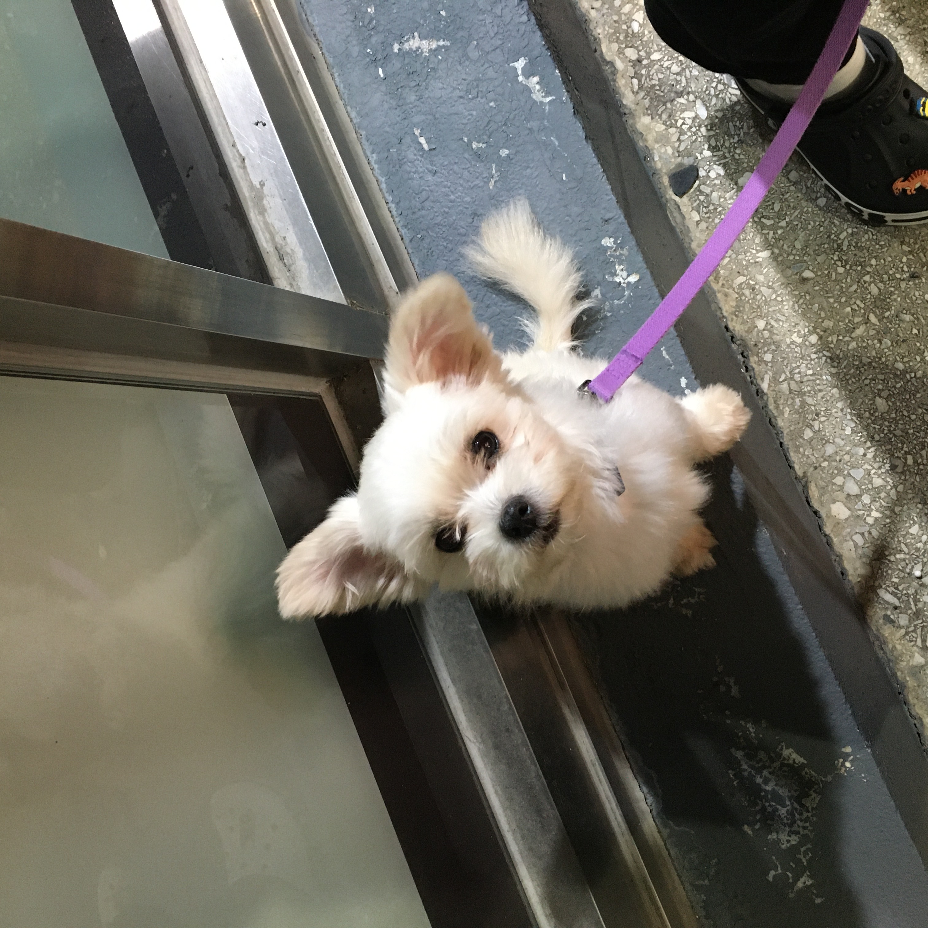 설기(오식이) 