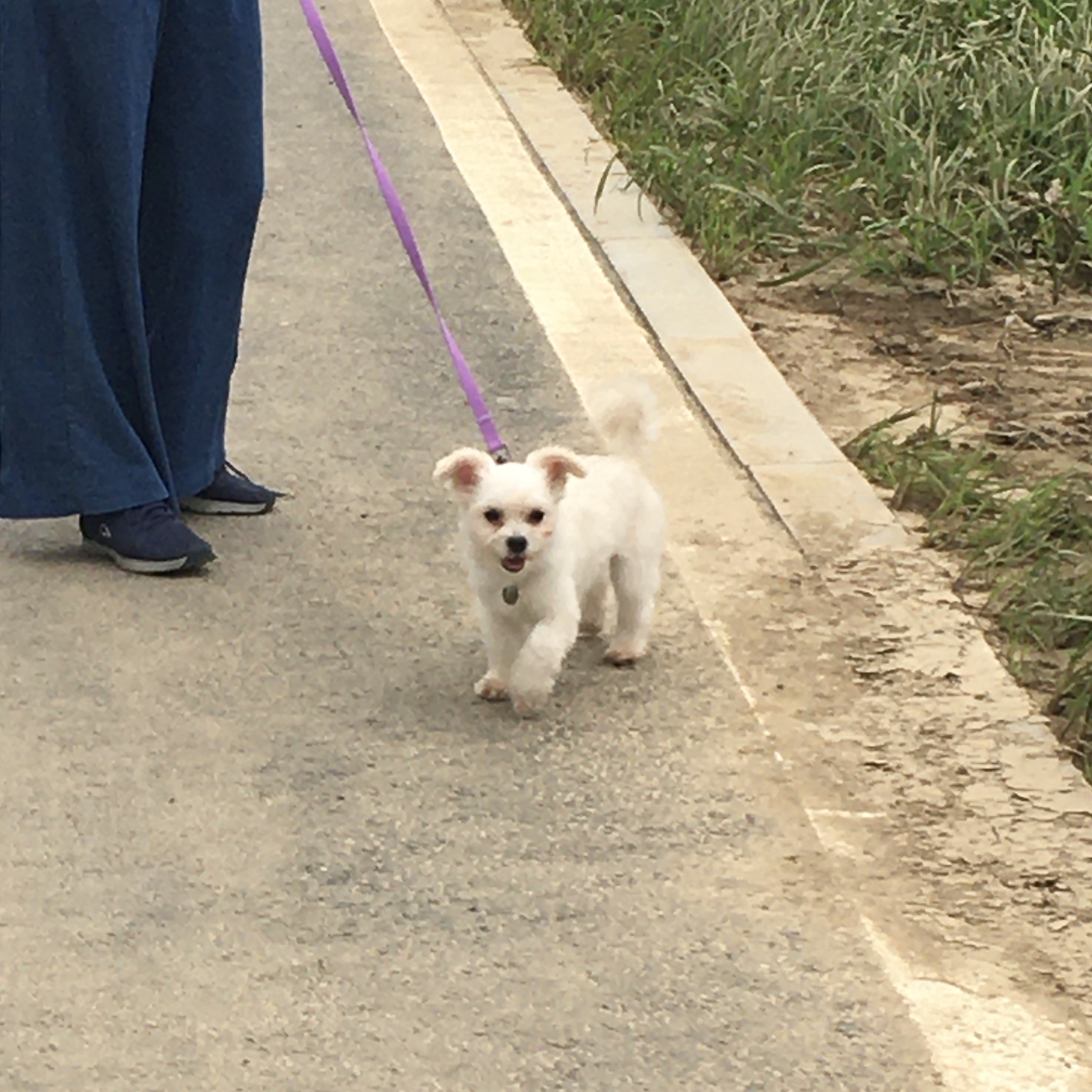설기(오식이) 