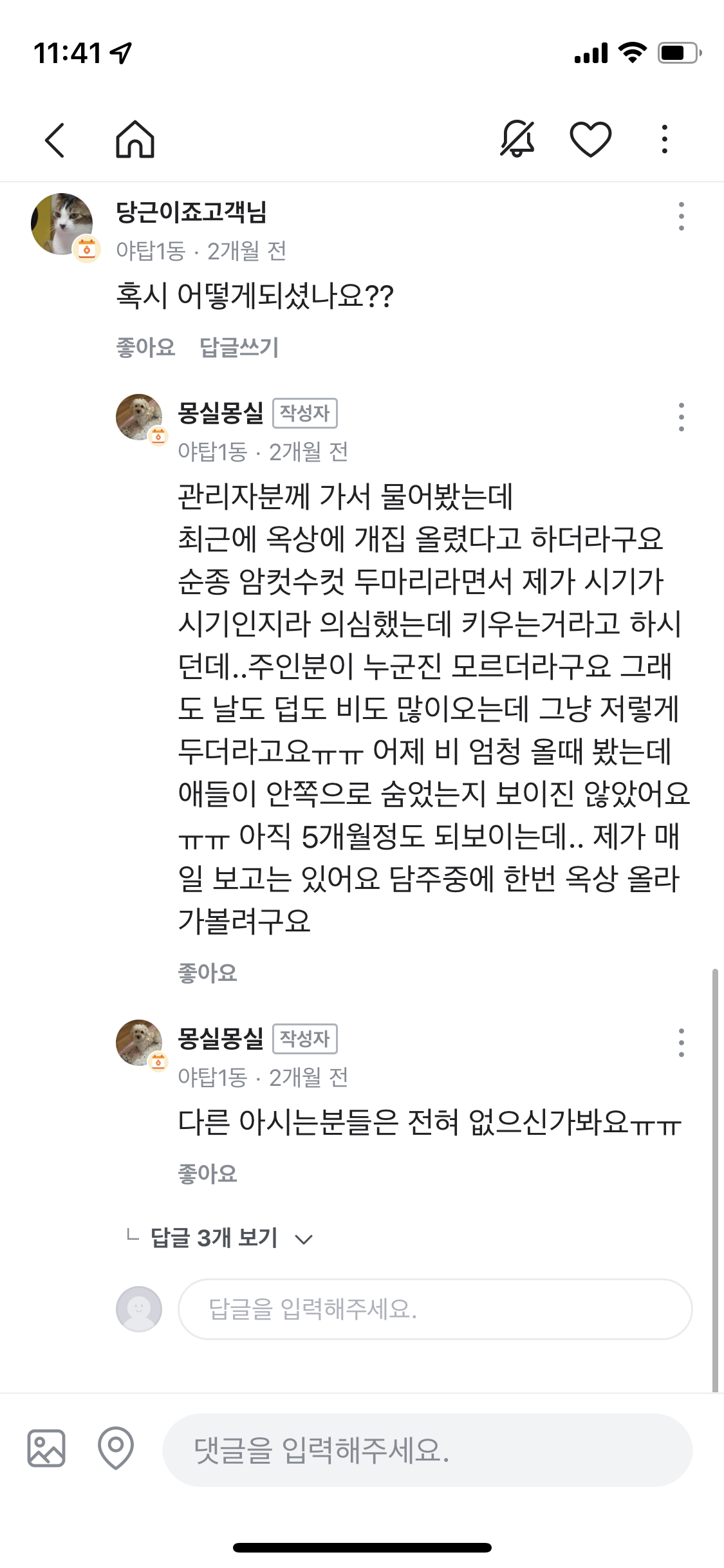 옥상방치견 