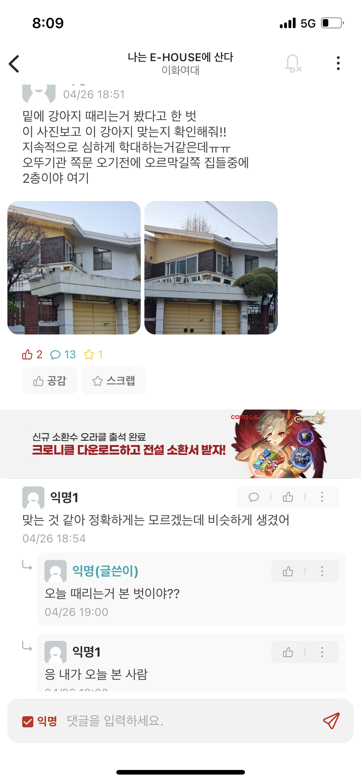 북아현동 강아지 학대 추정