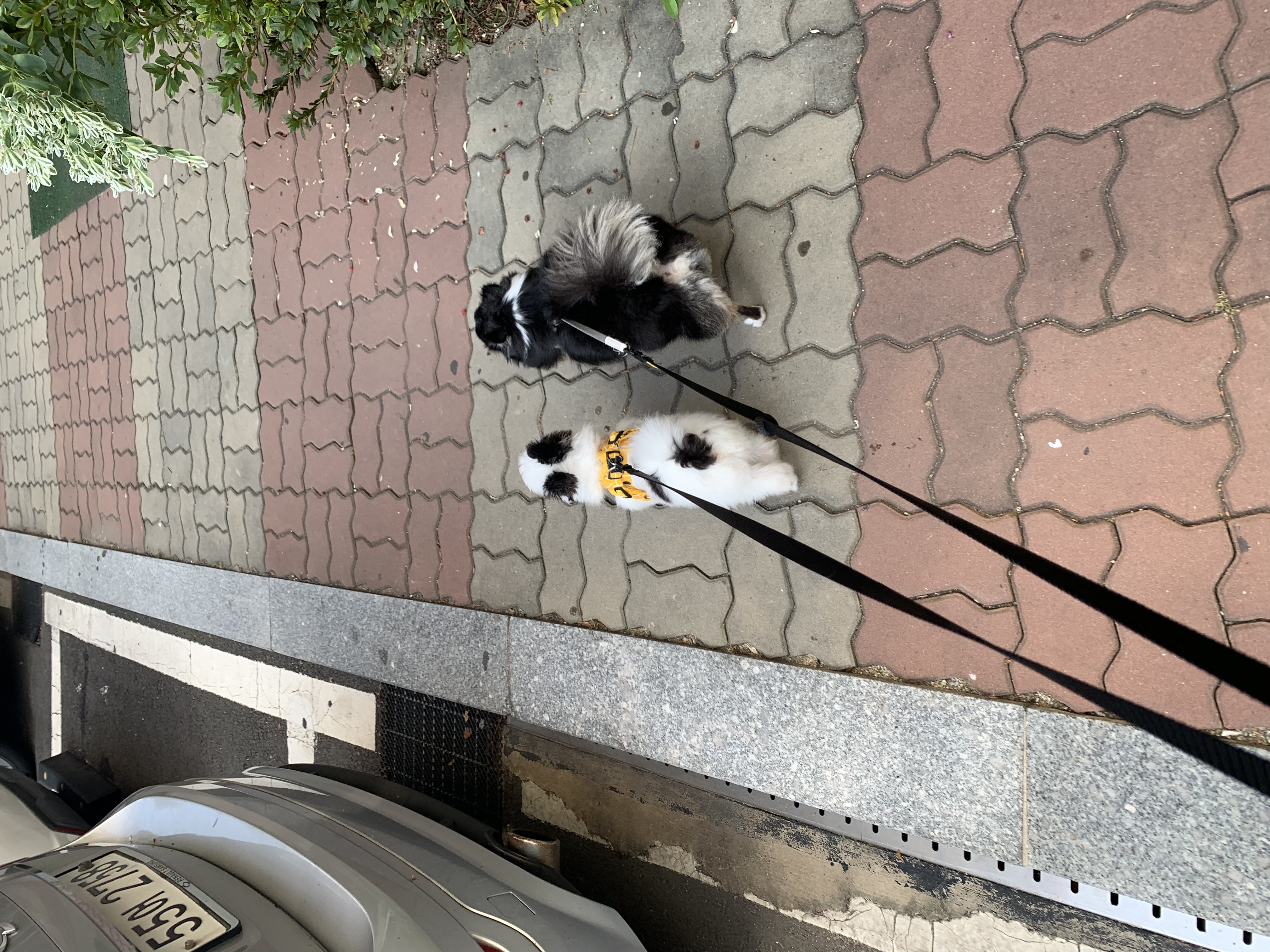 갈래 잘지내고 있어요