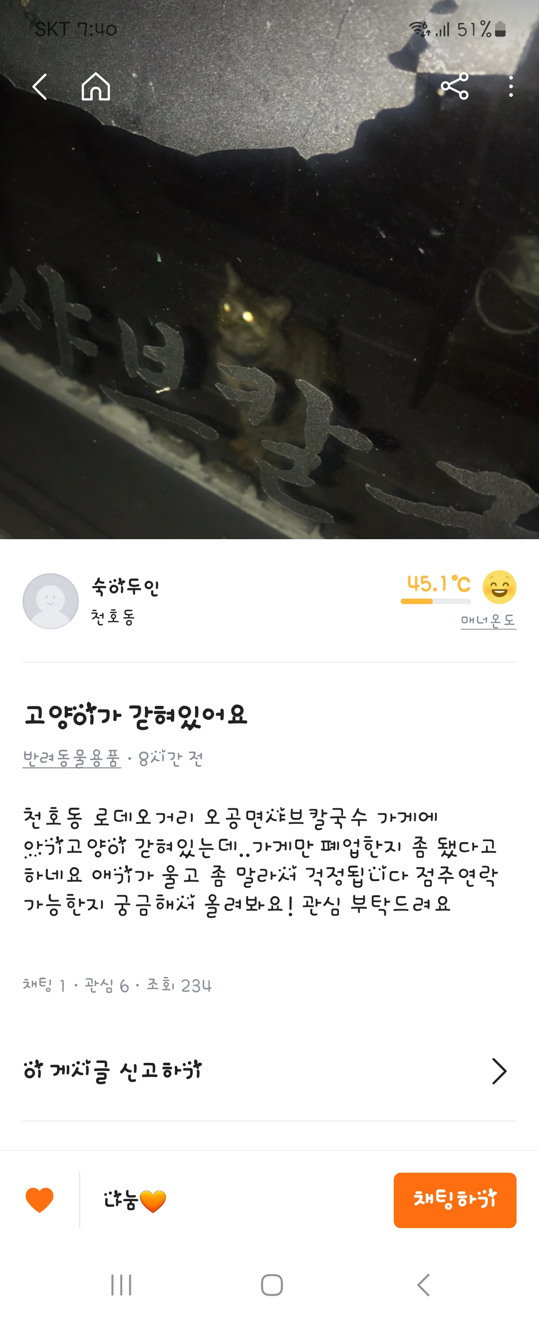 고양이사 폐업가게안에 갇혀있어요