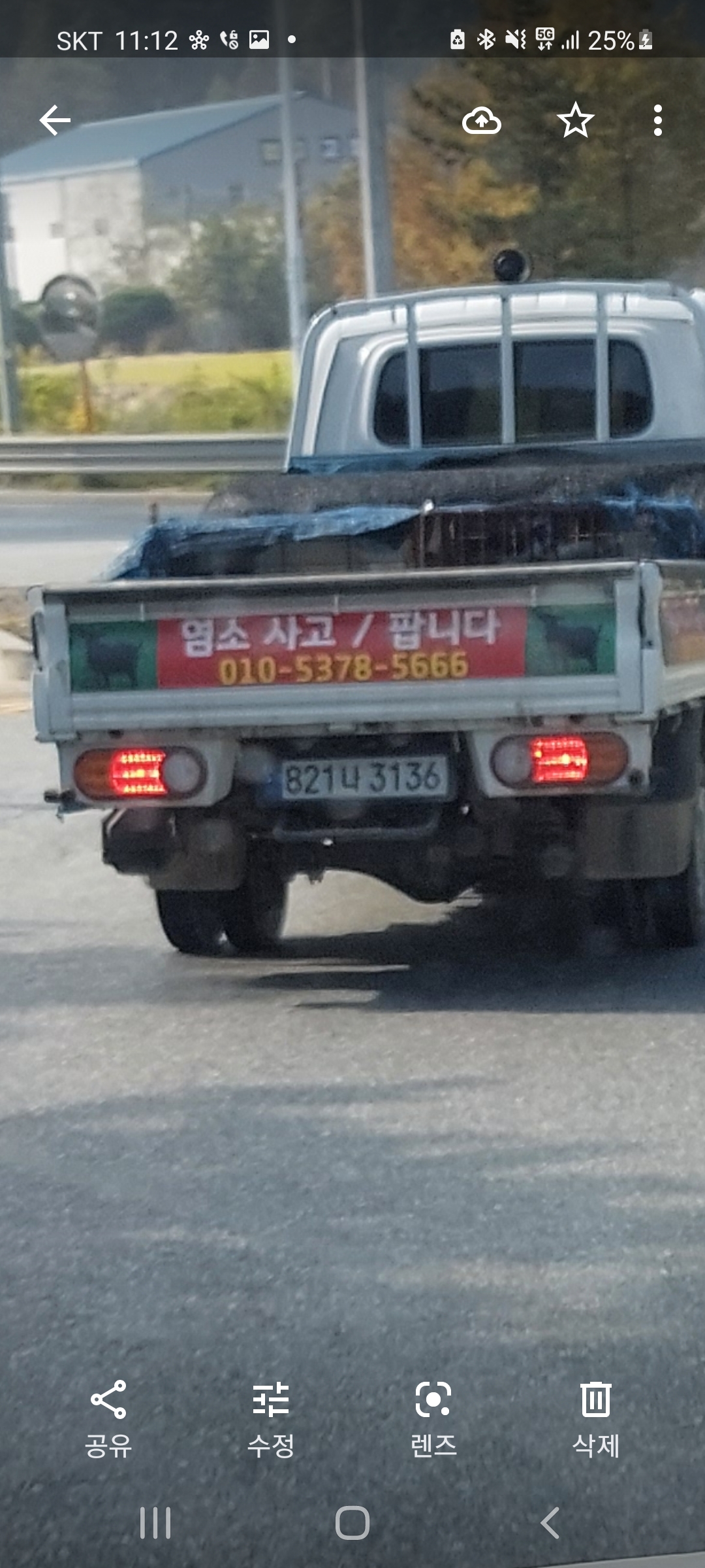 개장수트럭 발견했는데 개들도 몇마리 있었어요