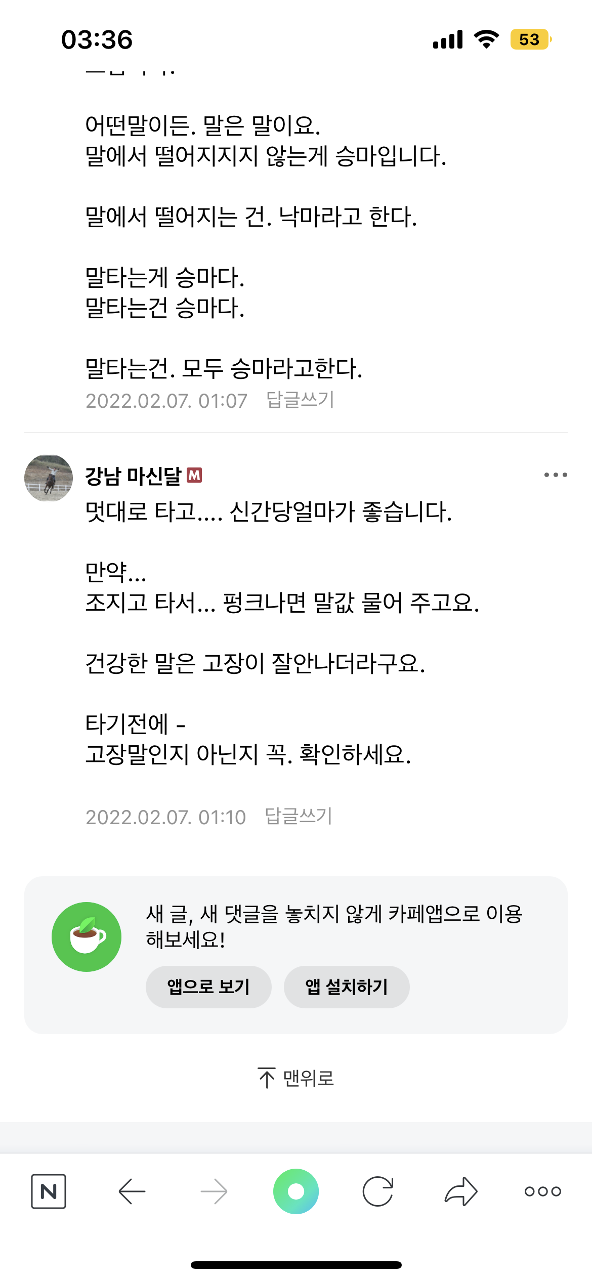 말 학대 제보합니다. 도와주세요