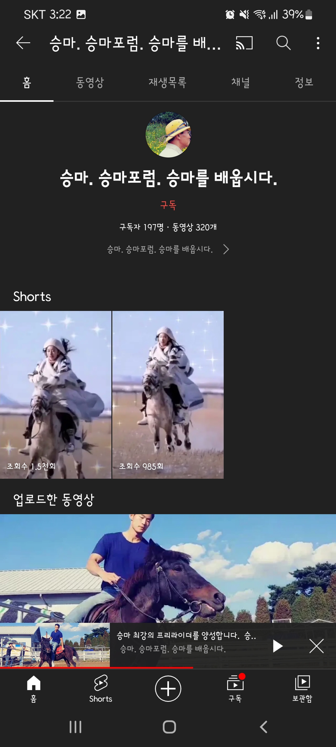 말 학대 제보합니다. 도와주세요