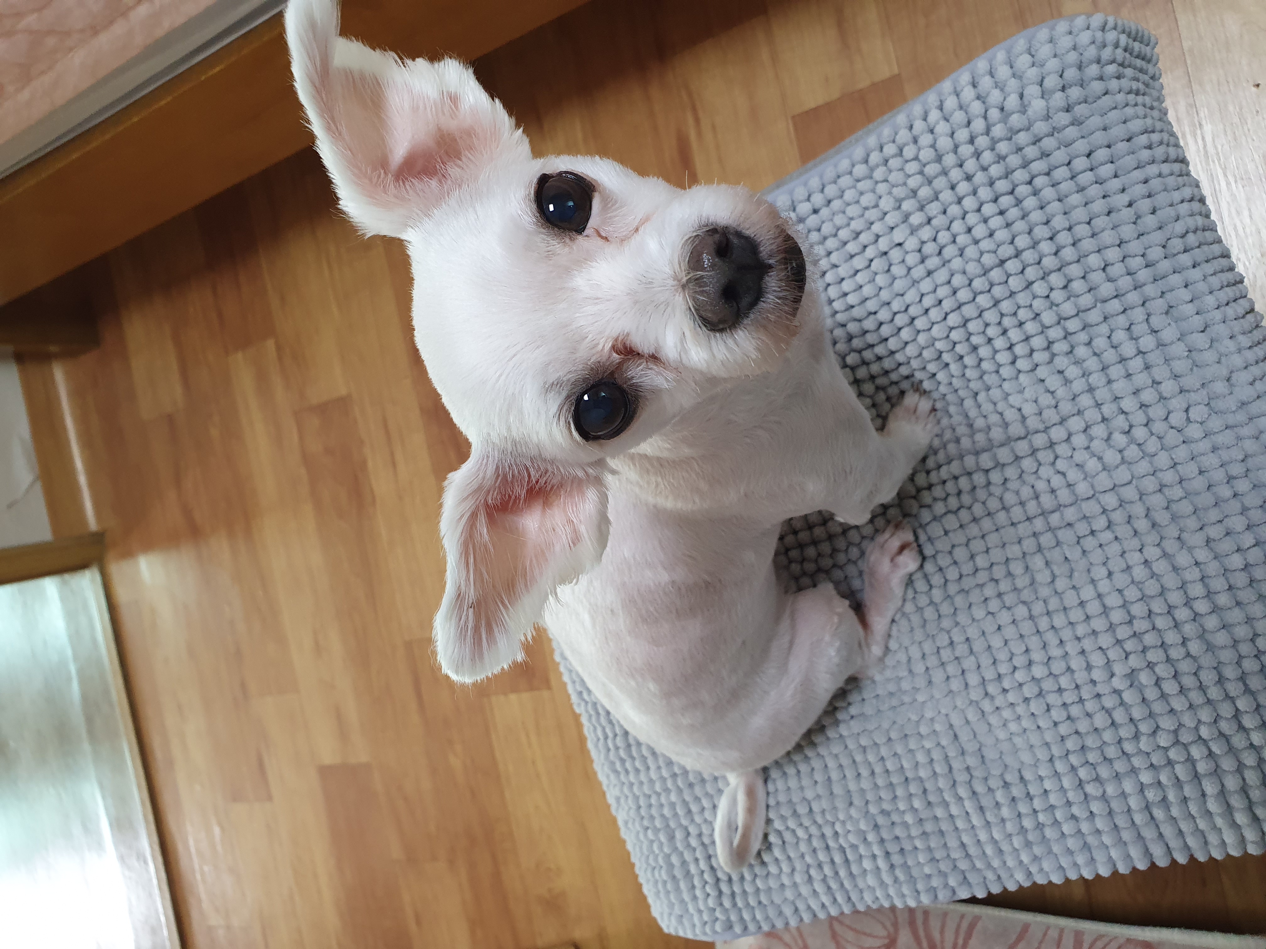호야 사랑해 ^^