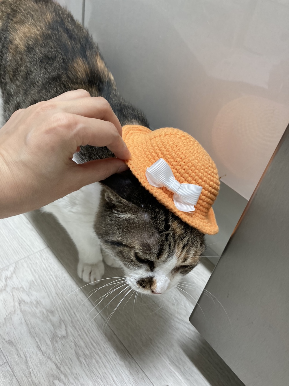 티니와의 세달
