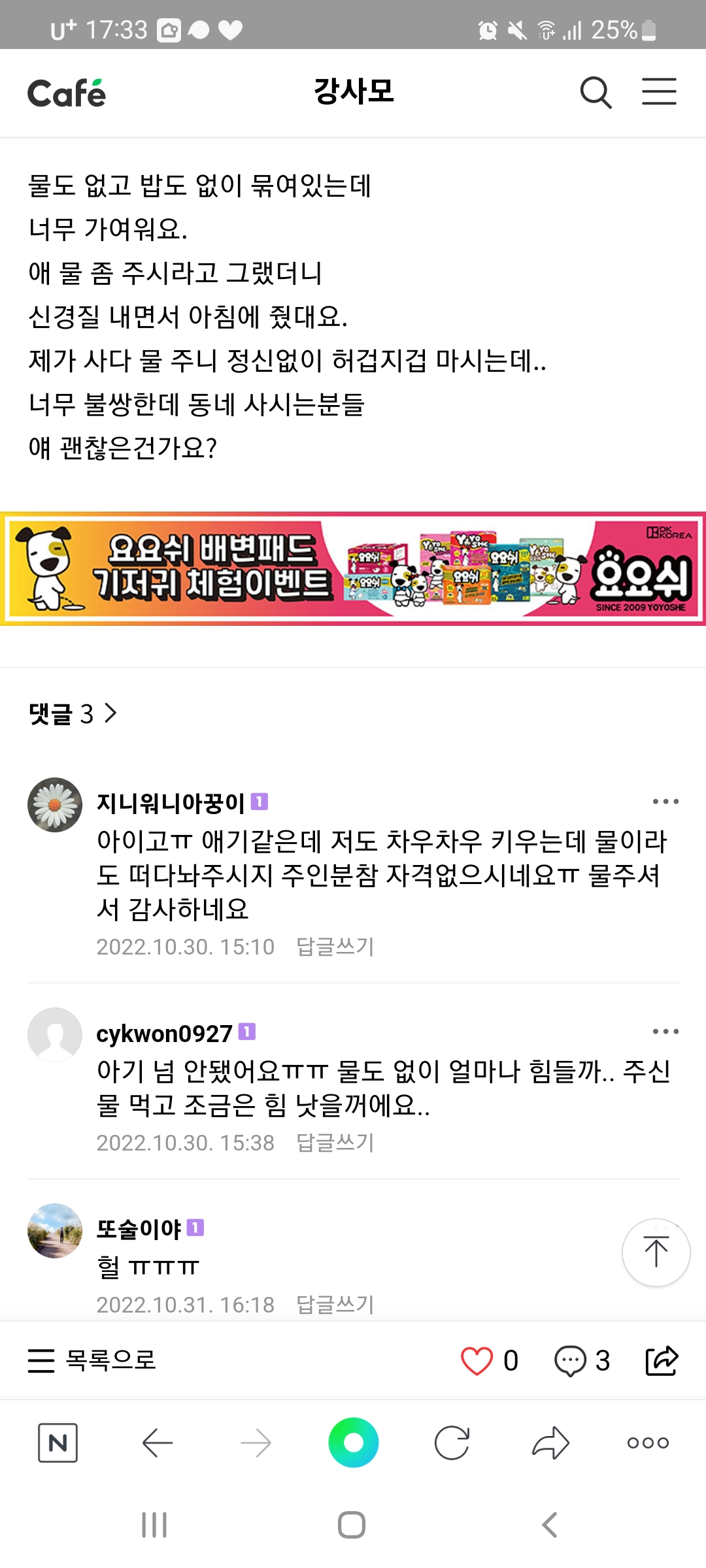 연남동 방치견 눈병 및 무기력함