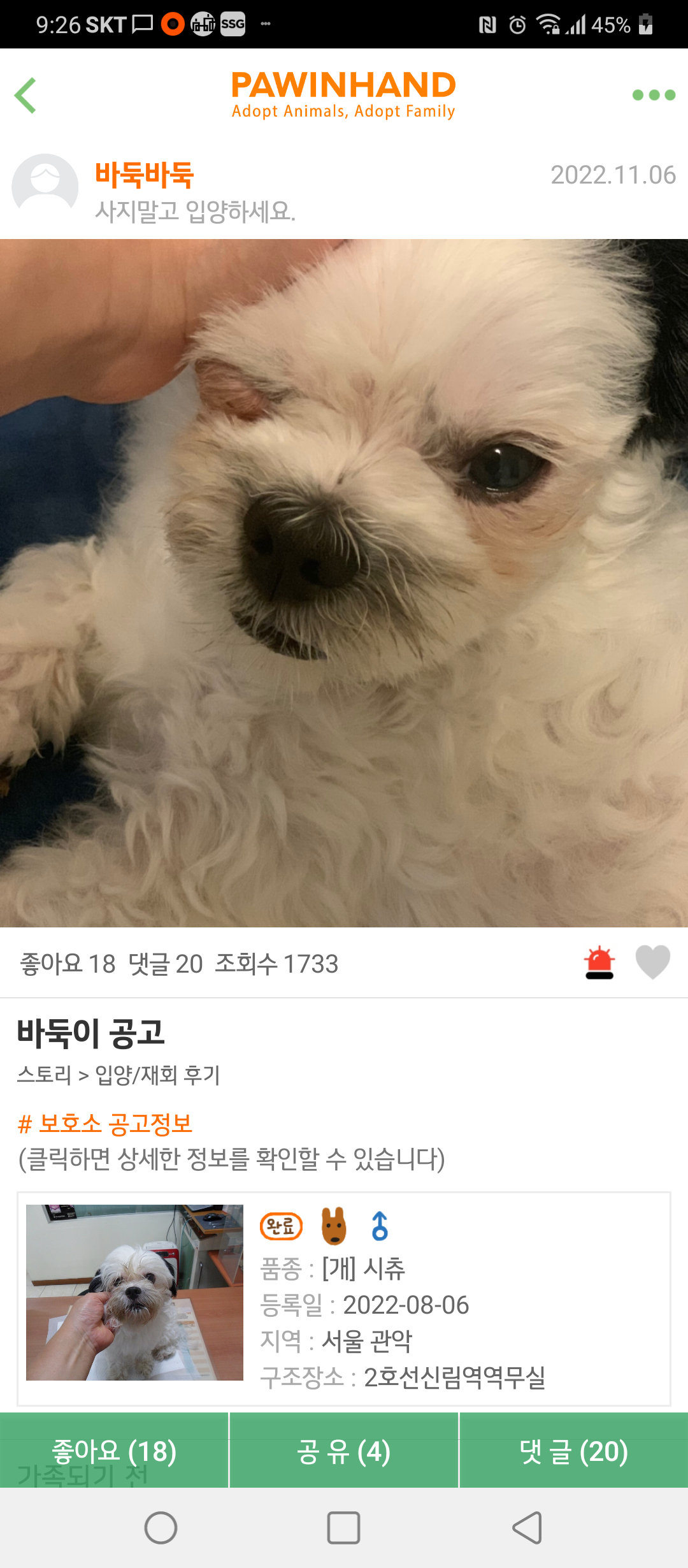 포인핸드 싸이트 입양후기에 아이사진이 이렇게 나와있어요.