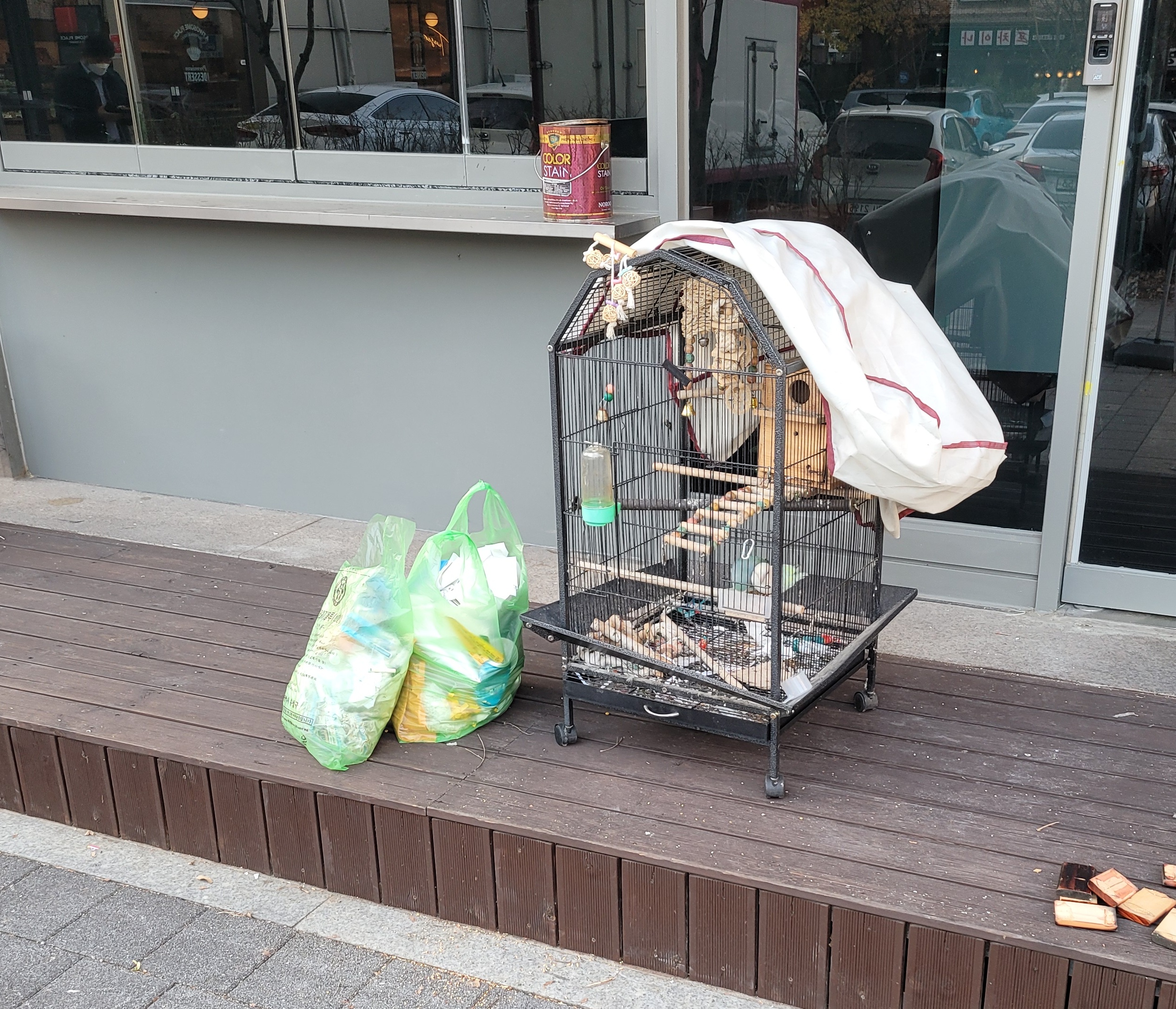 인테리어처럼 전시해둔 앵무새들 도와주세요... 