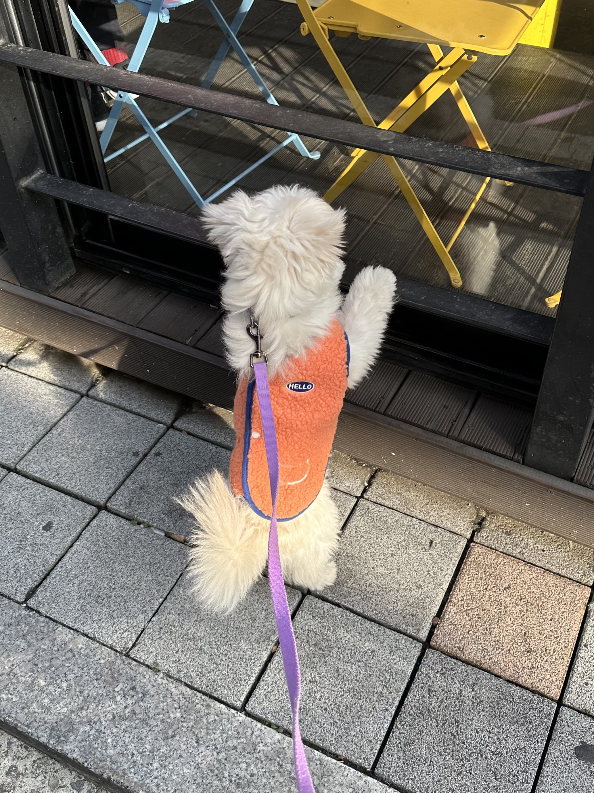 설기 (오식이)