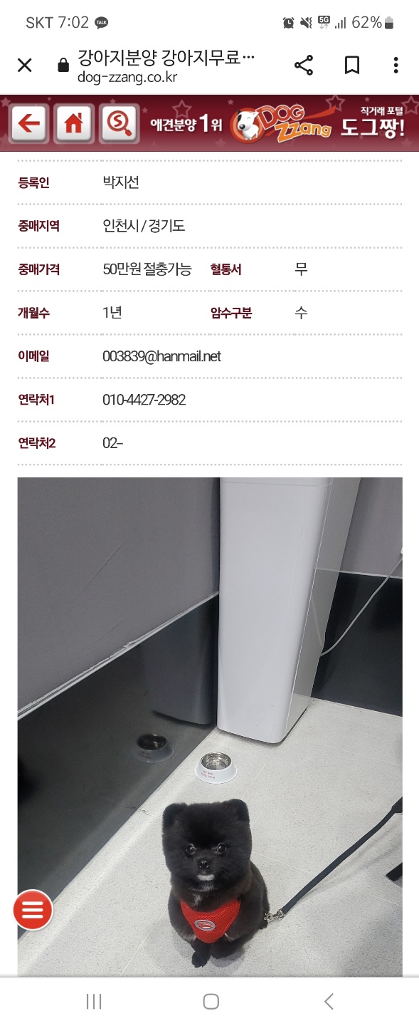 상습적 입양,분양,교배 (동물학대 제보합니다)