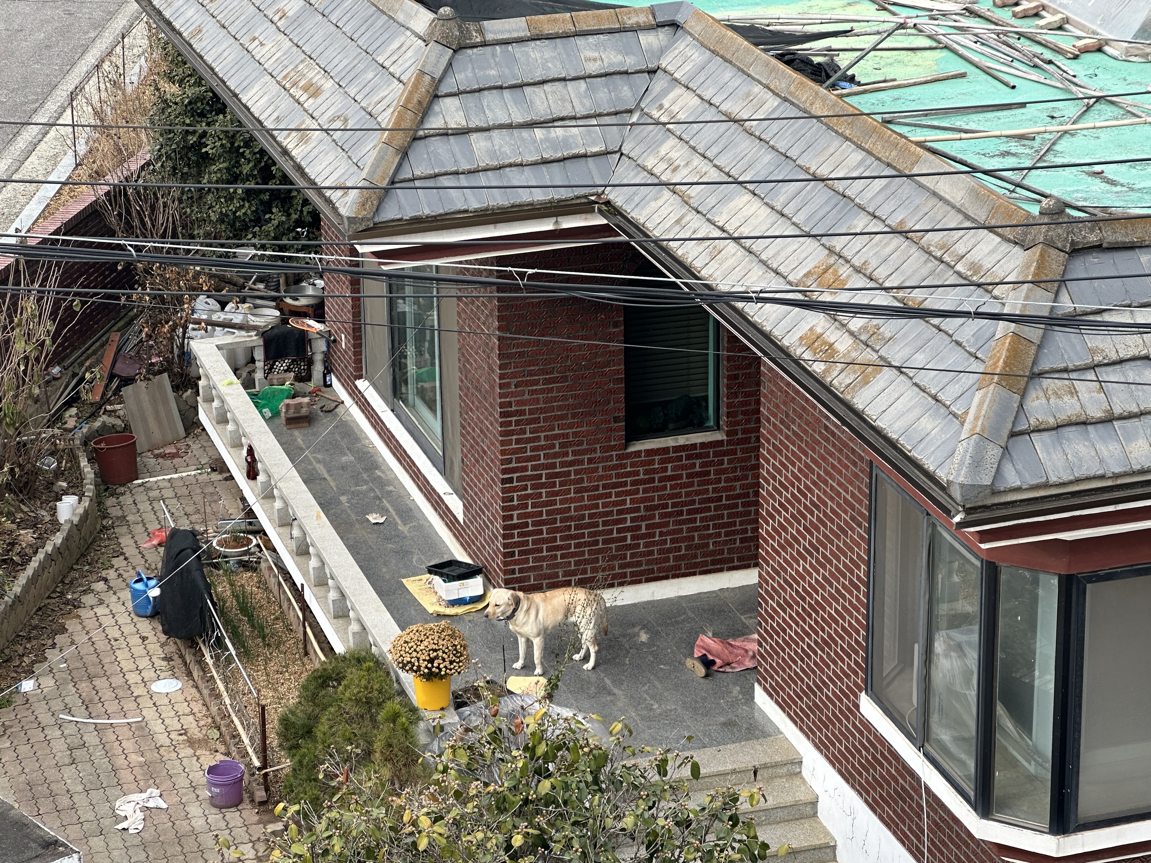 충남 아산에 한 주택에 방치