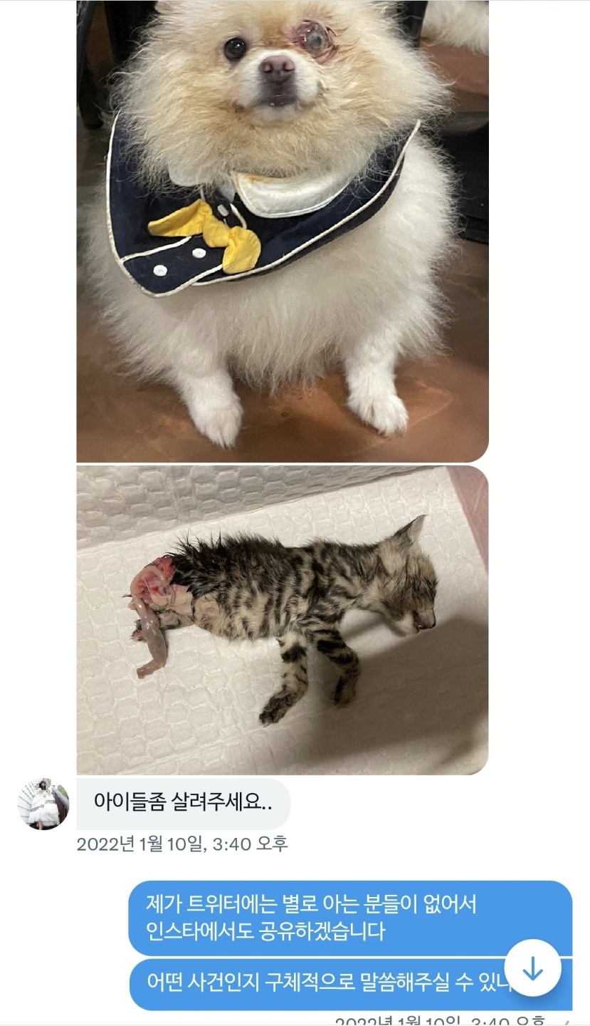 동물농장에 방영했던 동물카페 사장 학대, 살해 추가제보합니다.