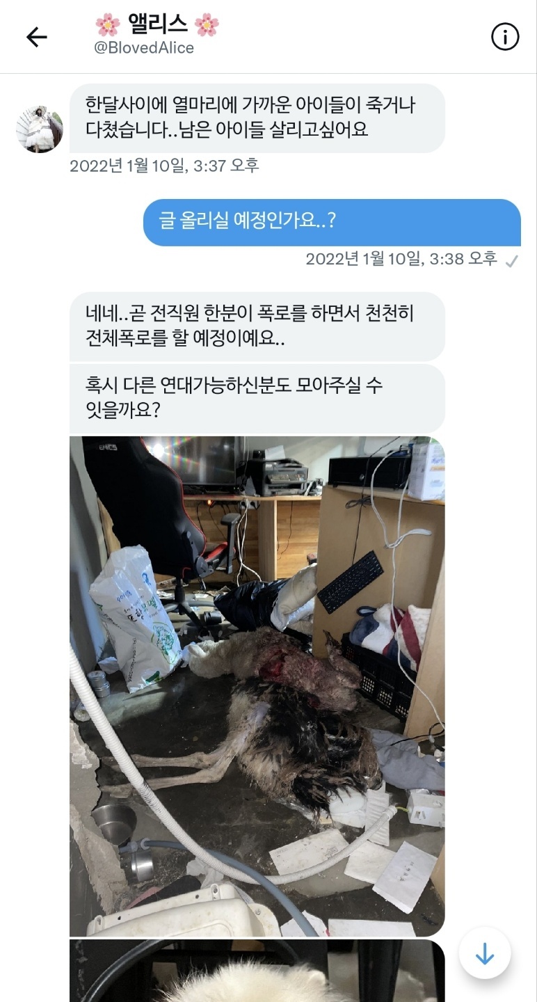 동물농장에 방영했던 동물카페 사장 학대, 살해 추가제보합니다.