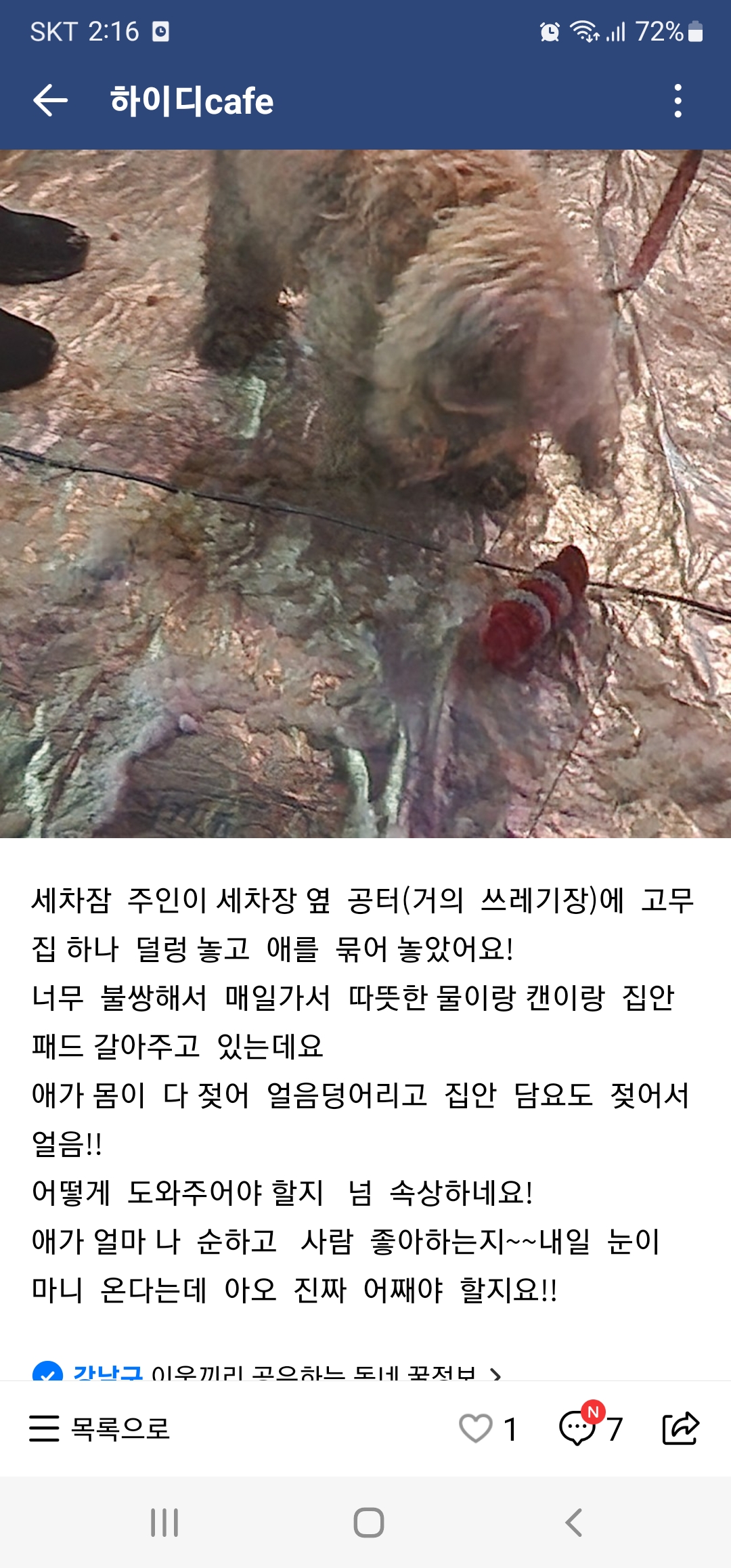 젖은채로 방치되어 얼어죽을 상황이에요