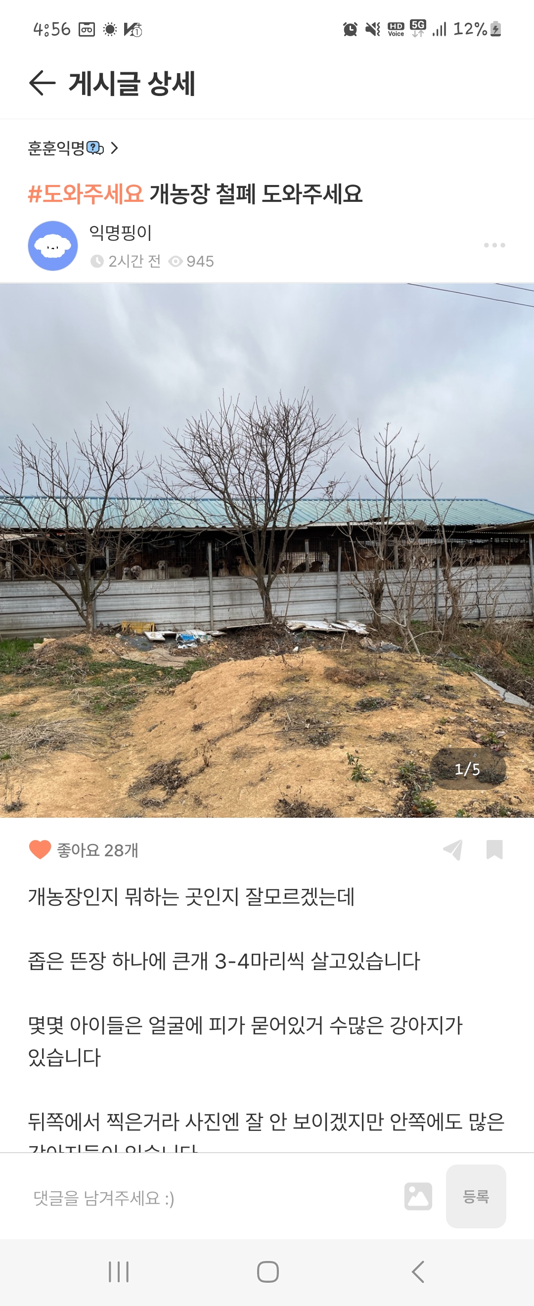 피묻은 아이들을 구해주세요...ㅠㅠ