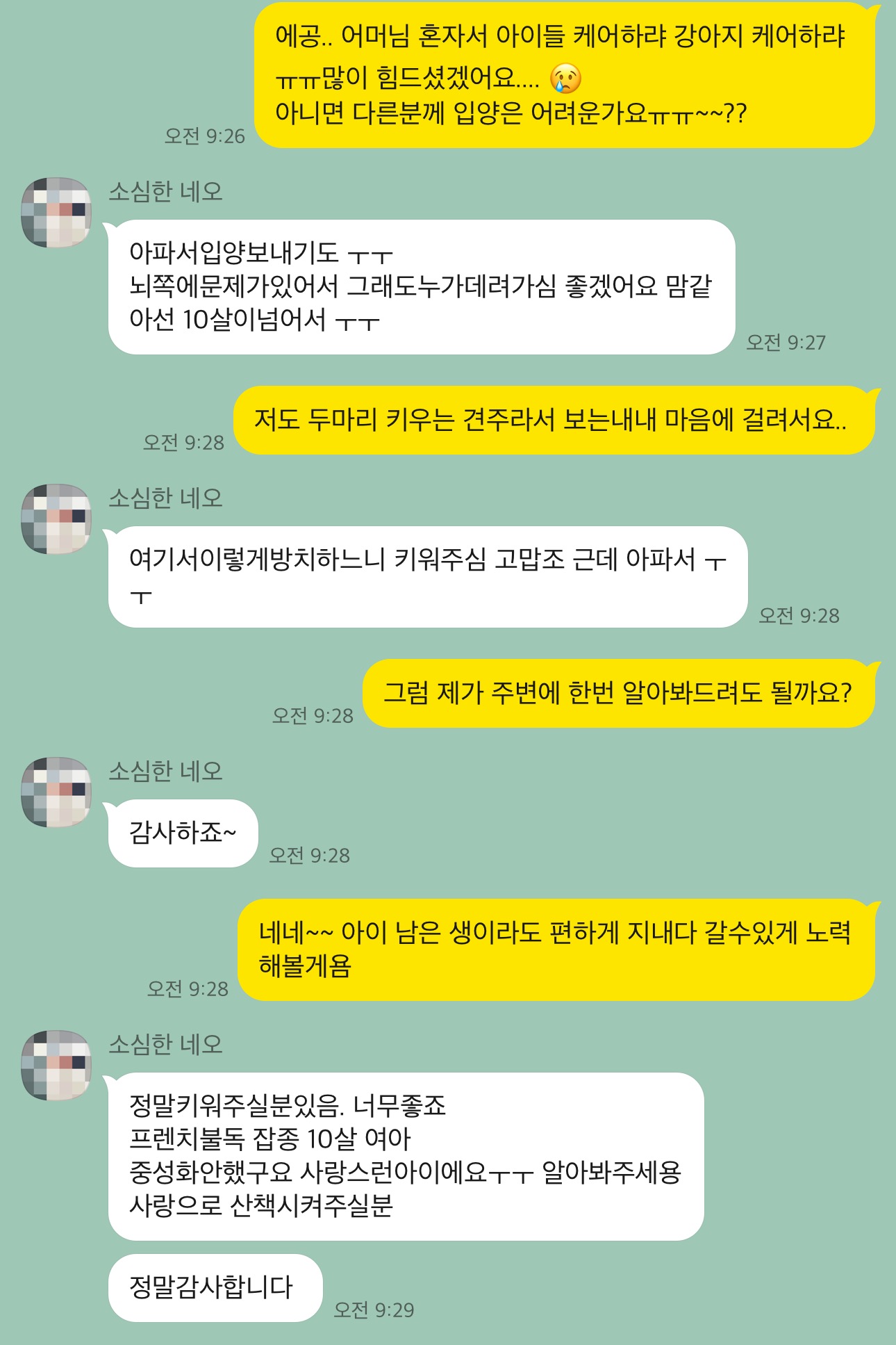 가정에서 베란다에 방치중인 프렌치 불독 제보 합니다.