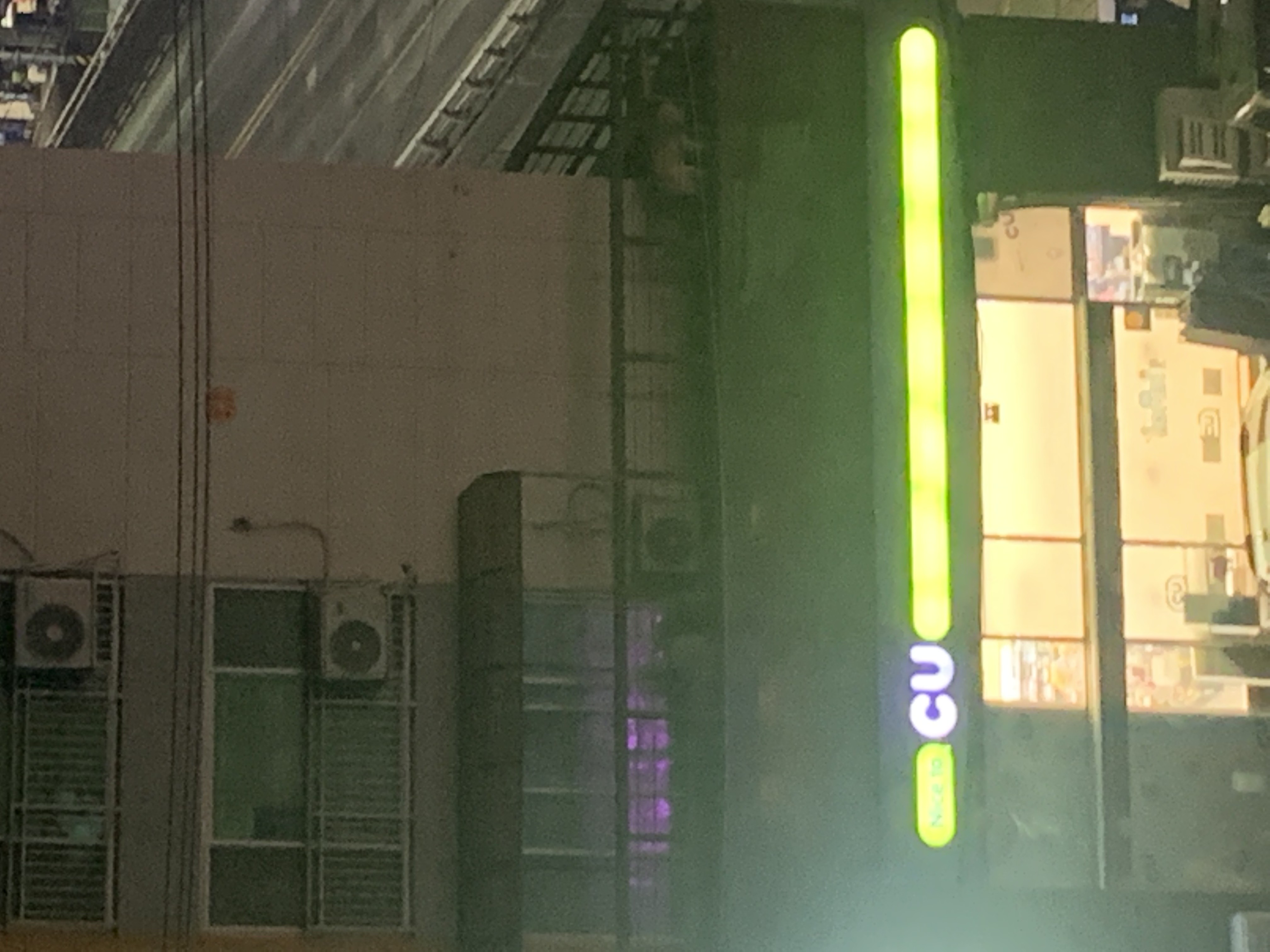 2년넘게 테라스에 방치된 강아지두마리