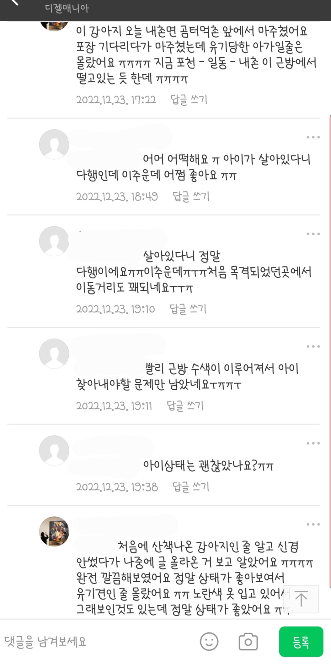 강아지 유기