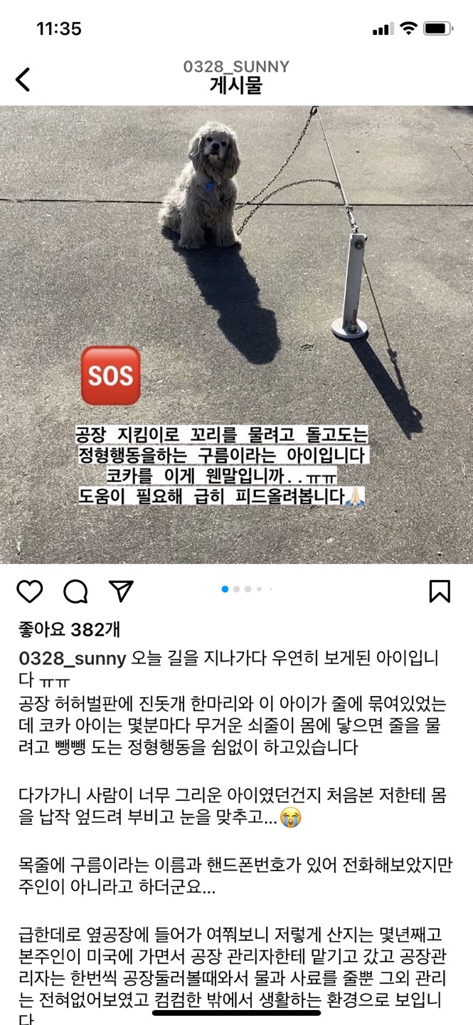 일산공장견