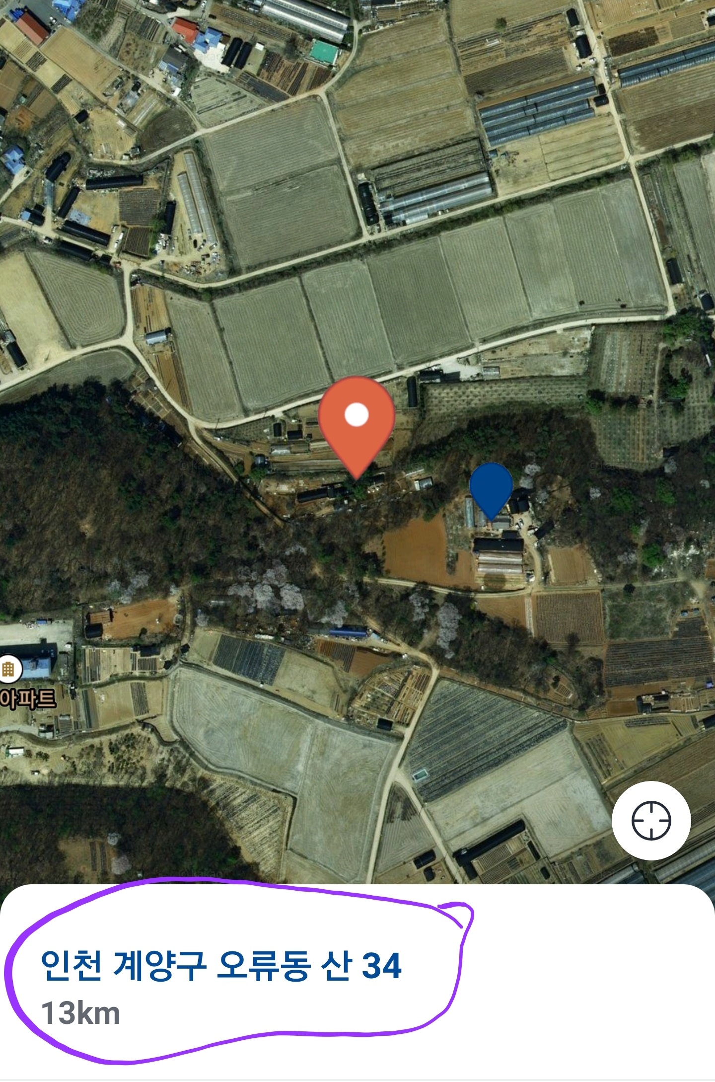  비닐하우스 불법 개농장 제보