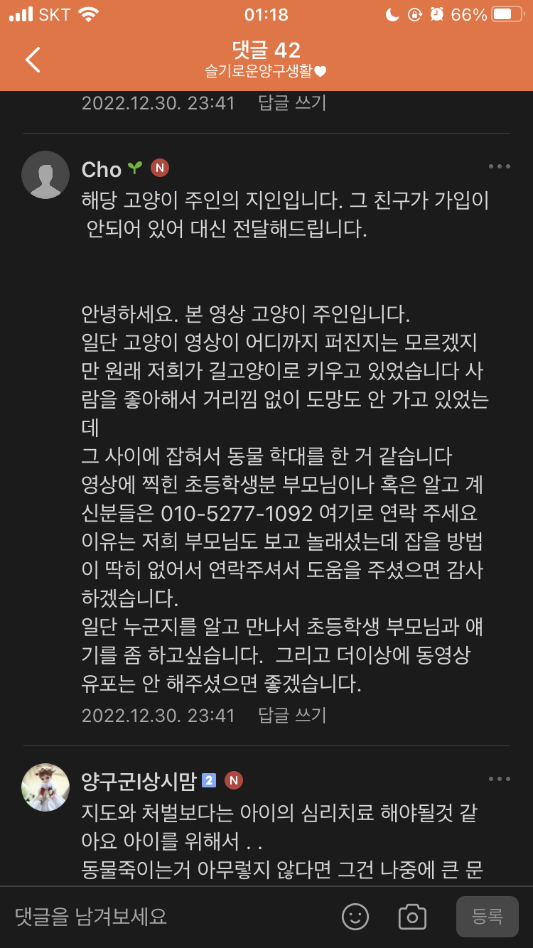 초등학생의 고양이 학대