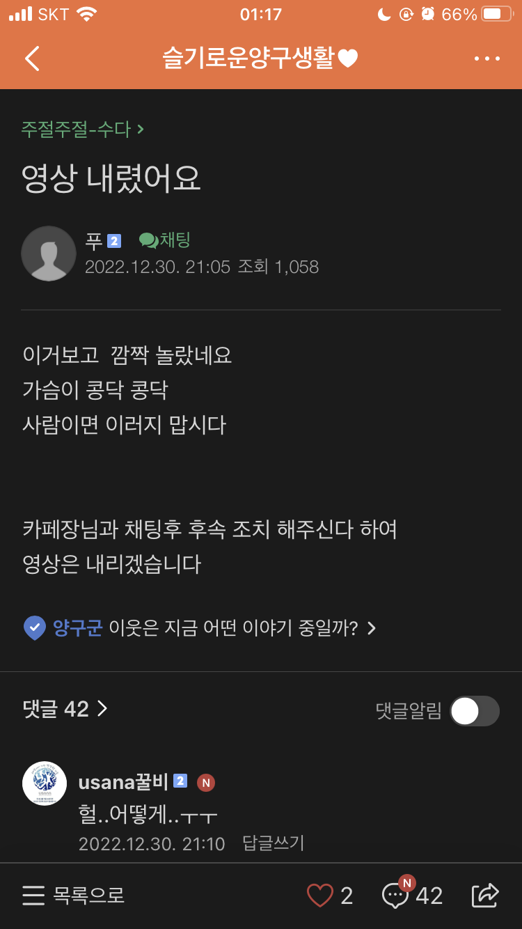 초등학생의 고양이 학대