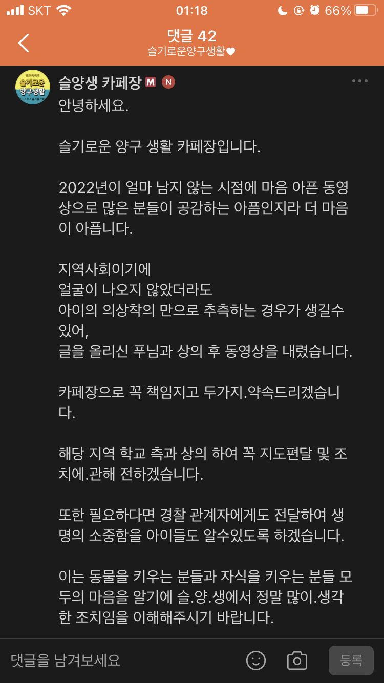 초등학생의 고양이 학대