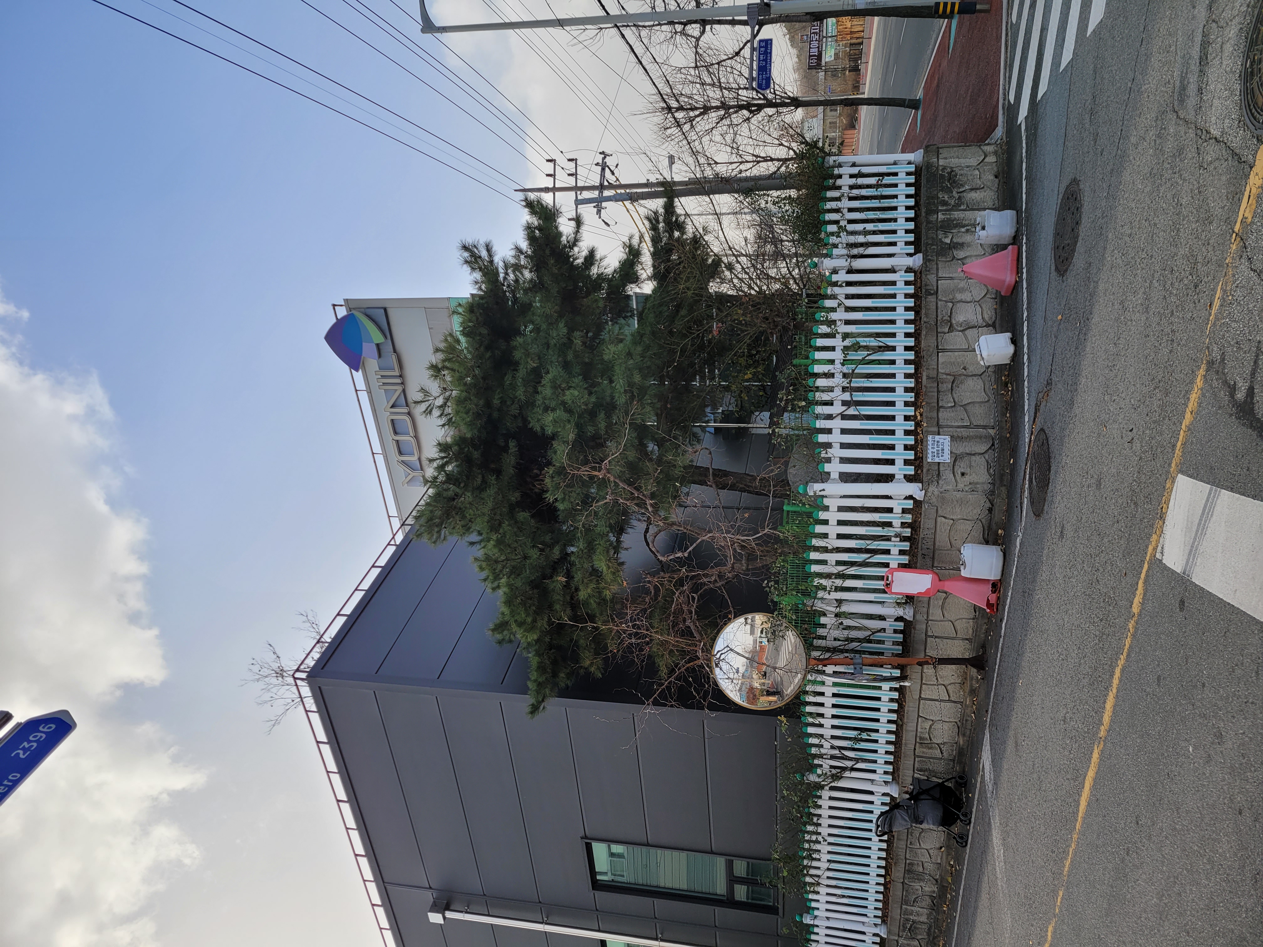 회사 뒷편 철장에 늘 갇혀 있는 강아지