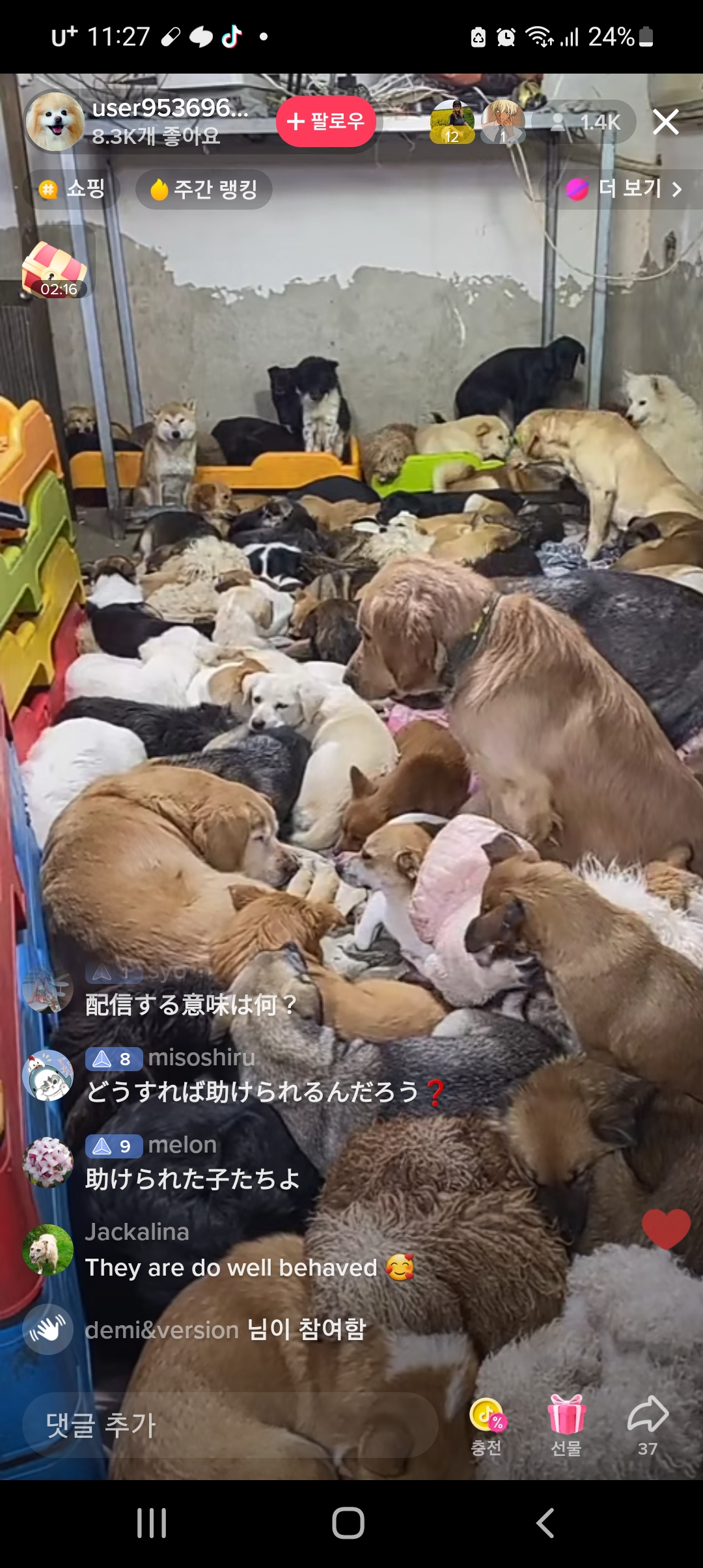 학대정황여부 조사 요청