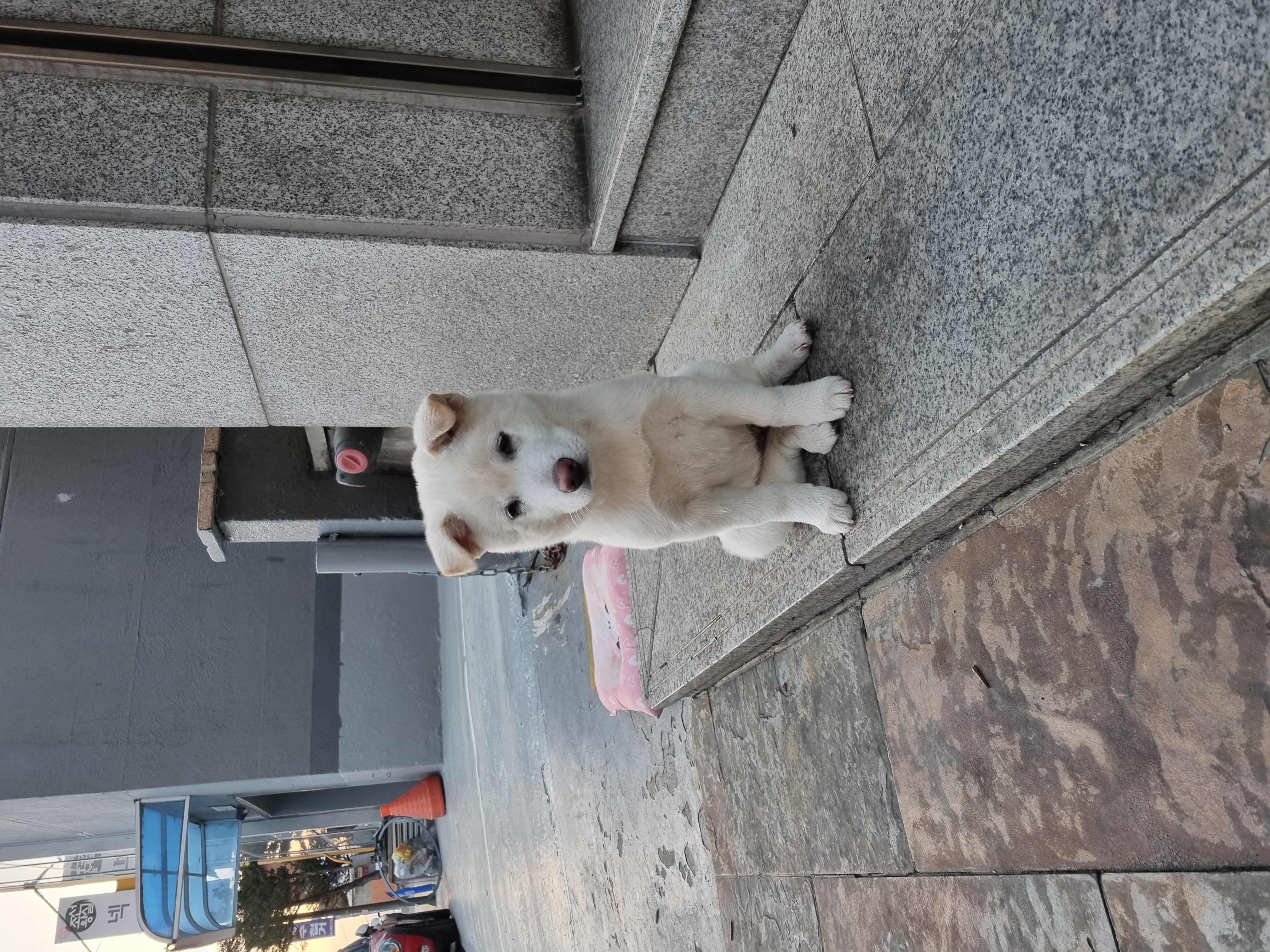 수상한주인 