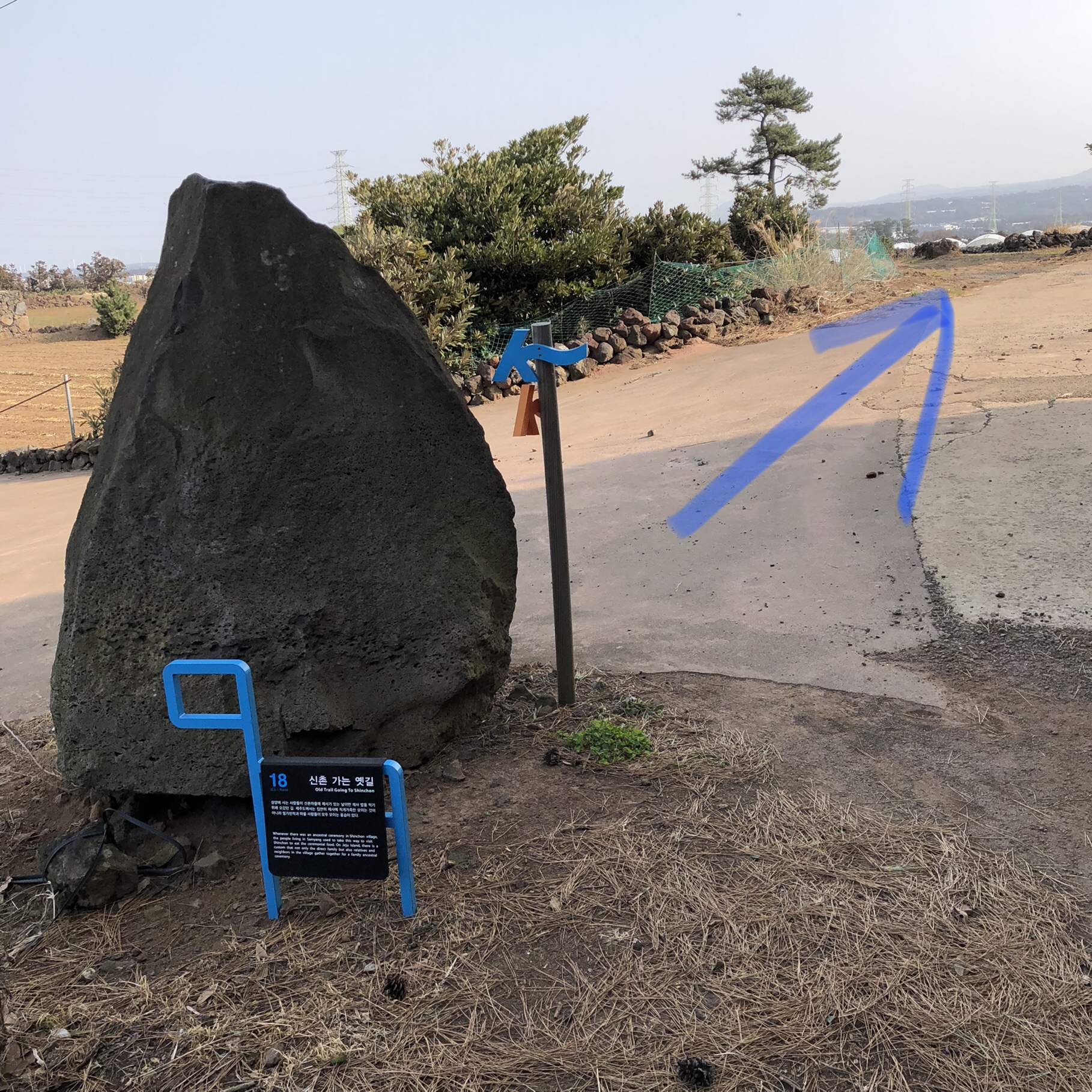 개농장 발견