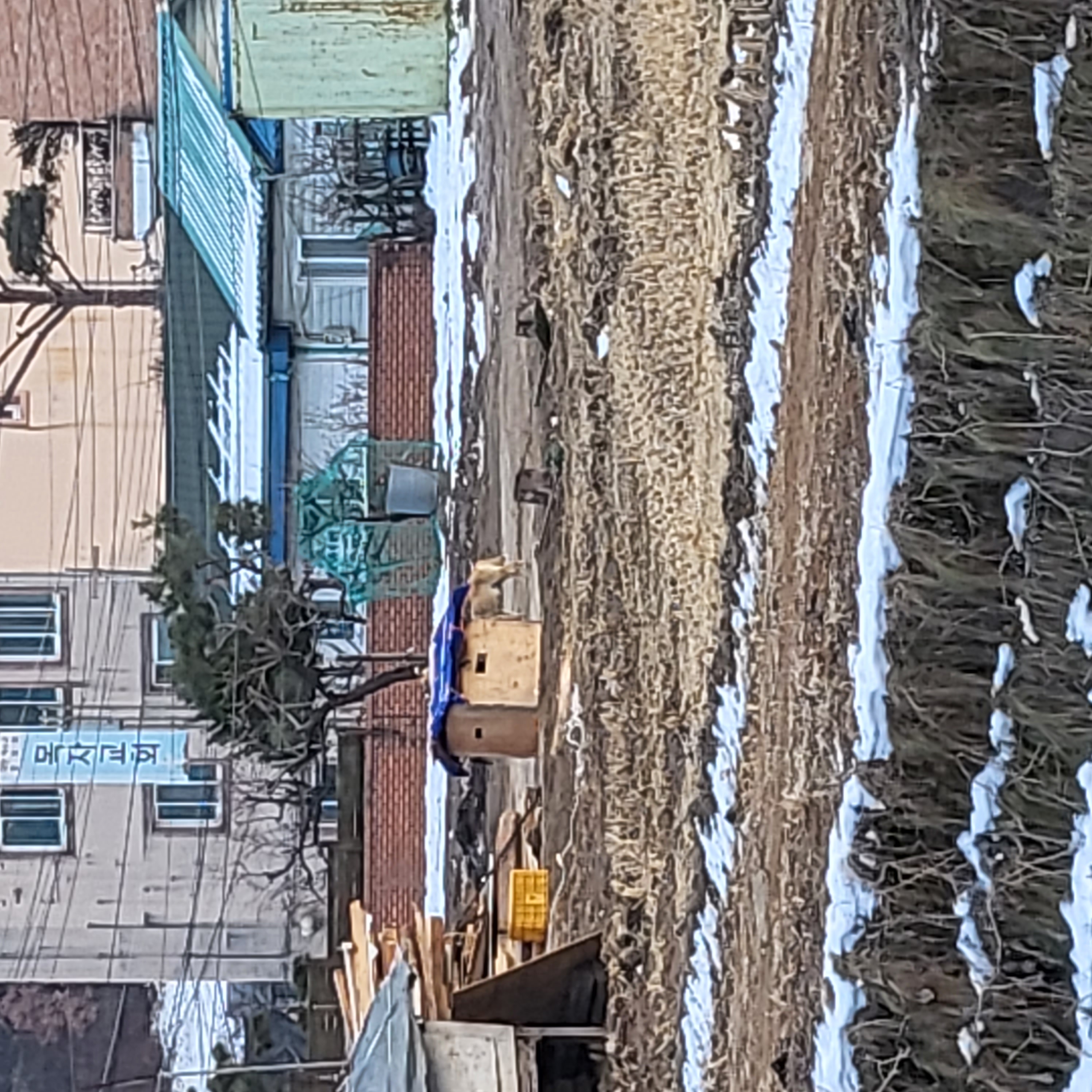 학대