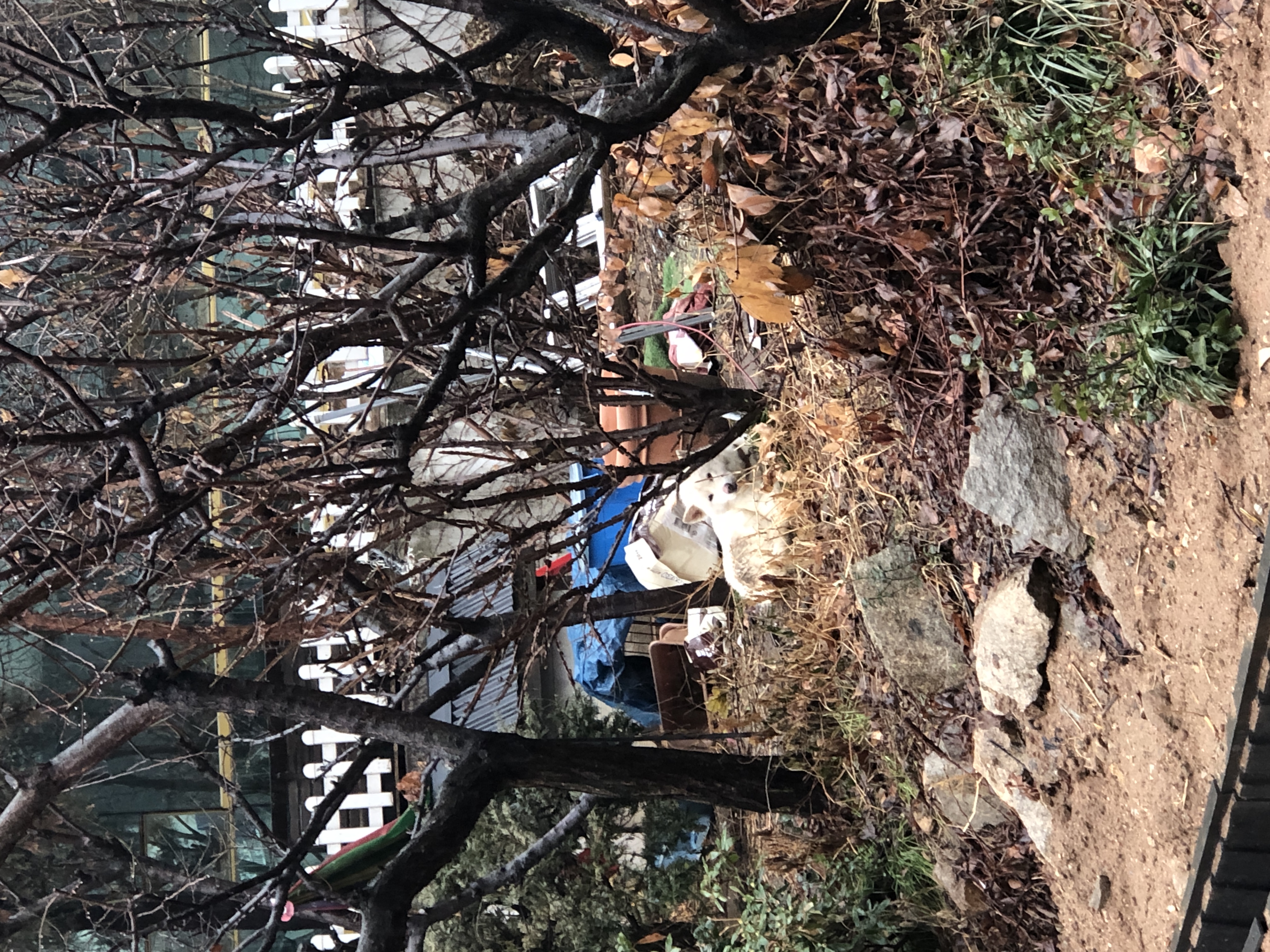 열악한 환경