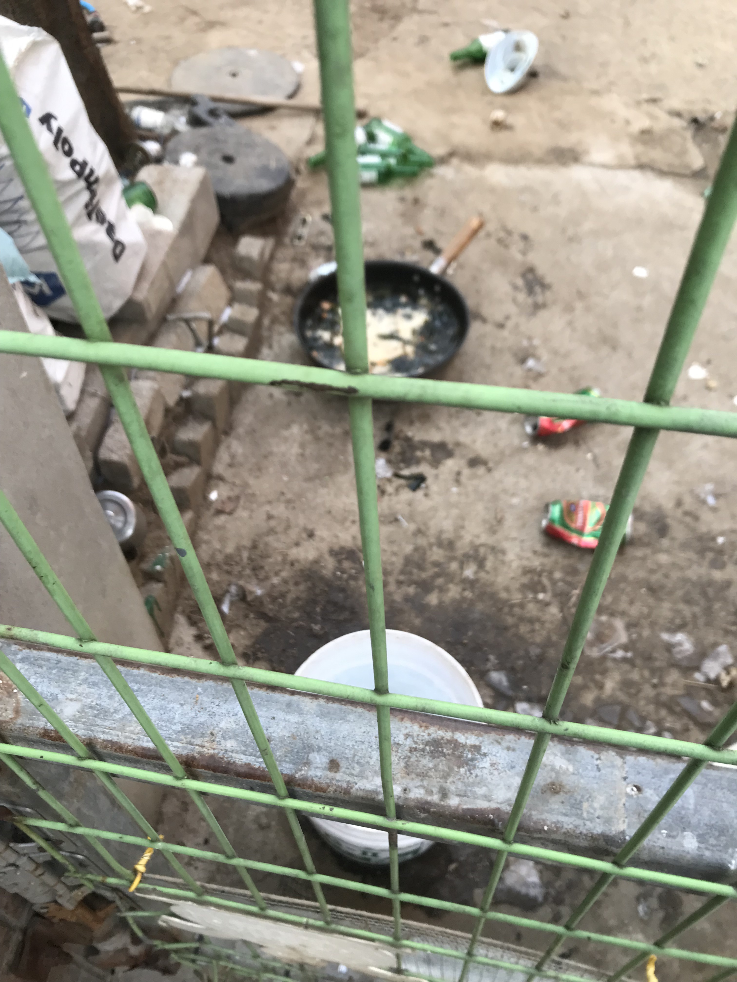 천안 서북구cu 편의점 옆 학대 제보 입니다