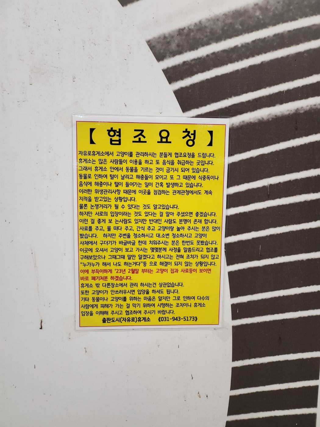 휴게소에서 평생 다리를 절게 된 짜장이, 아직 5마리의 아이들이 남아있습니다. 시간이 너무 속절없이 흘러갑니다.
