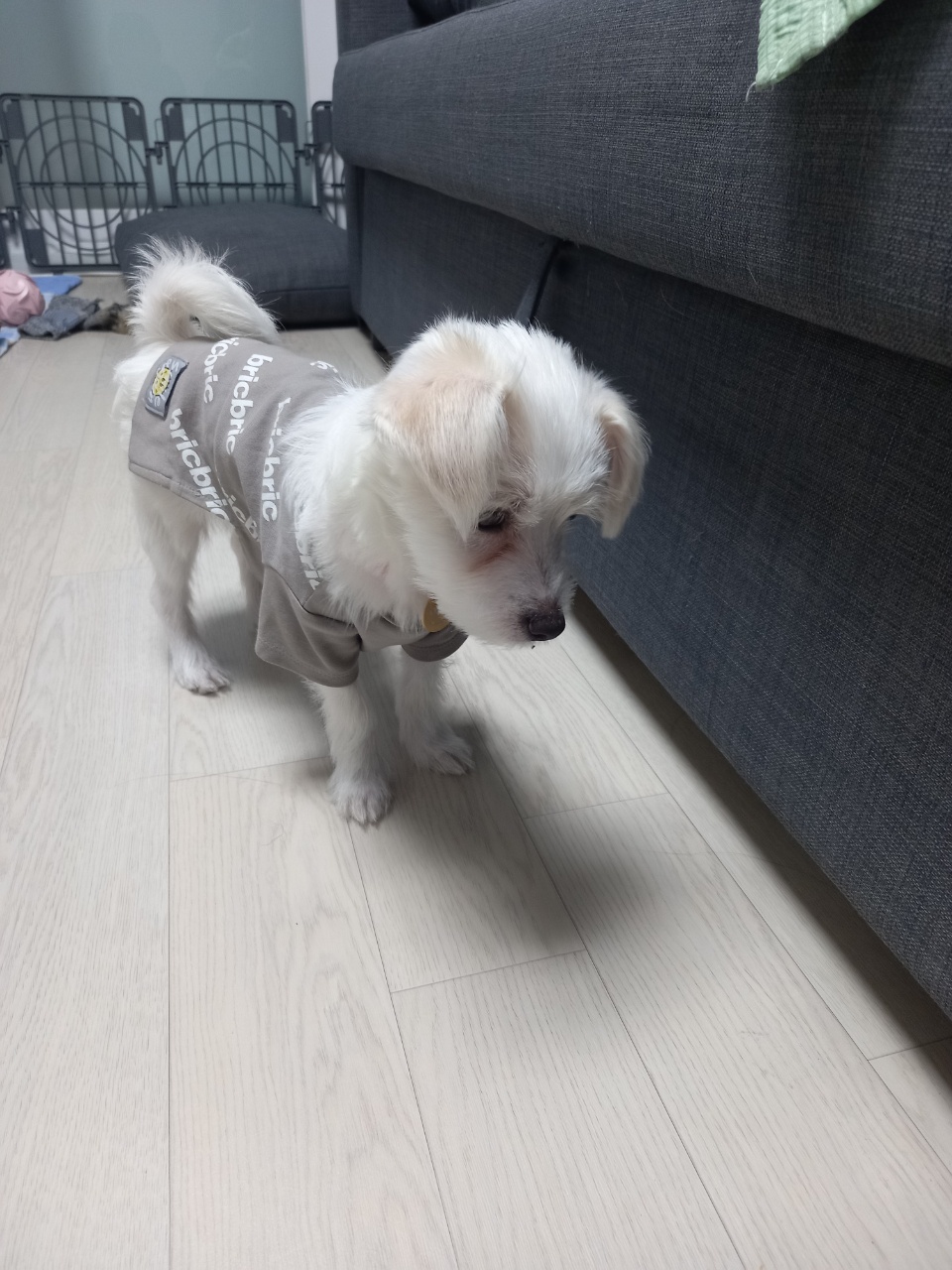 이브(원투) 가족들과 잘 지내고있습니다.