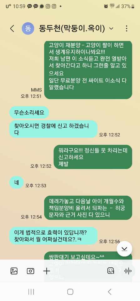 반복적으로 고양이와 강아지를 입양해서 용품만 챙기고 유기하거나 금액 올려 재분양 시도. 도와주세요!!
