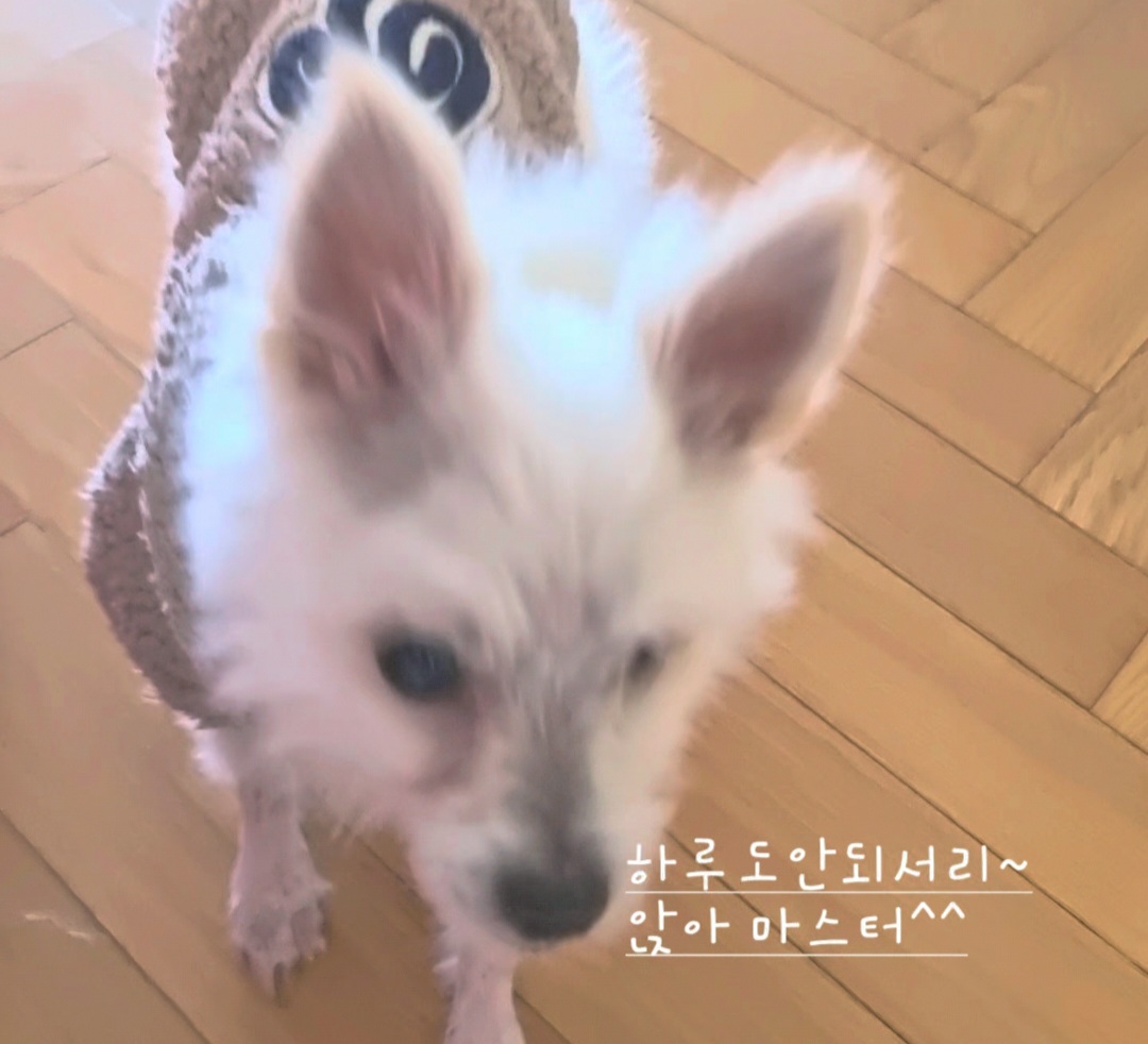 임보한달차 익순이 근황전합니다~