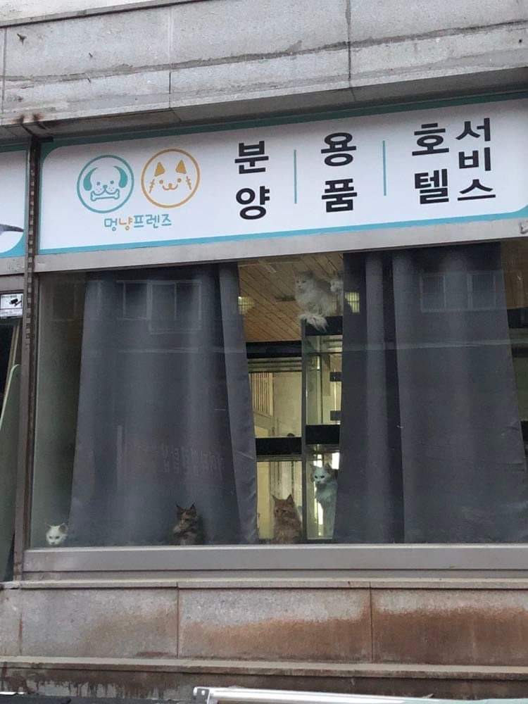 제발 도와주세요.. 몇개월째 방치되어 있습니다.