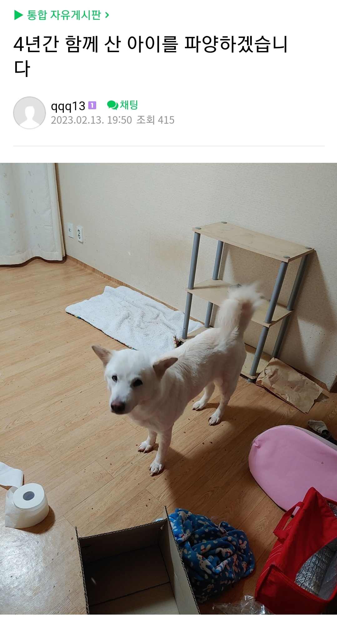 4년간 병원 진료도 없이 방에 방치한 후 파양