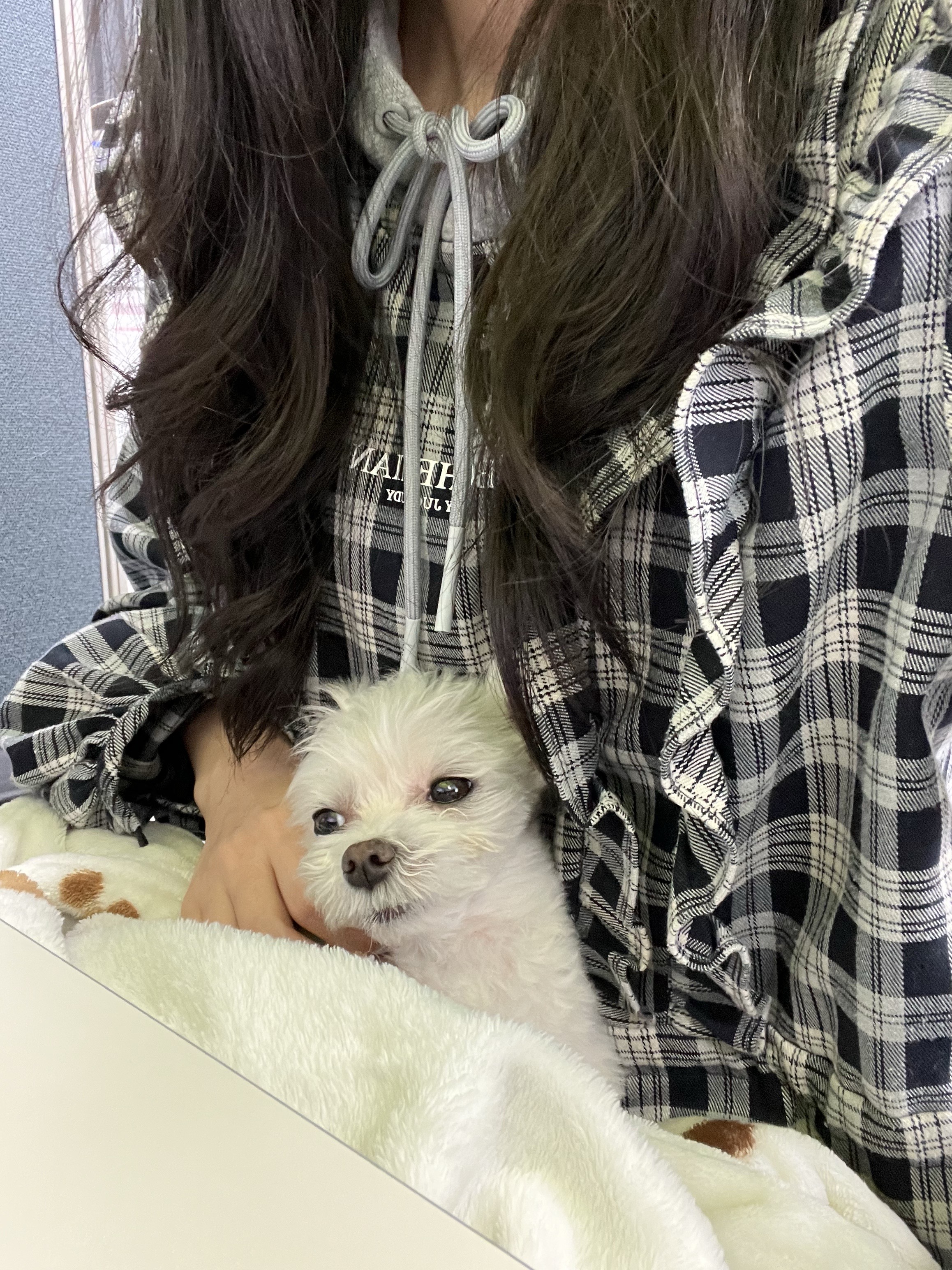 삼원이(다비)는 잘 적응했어요!