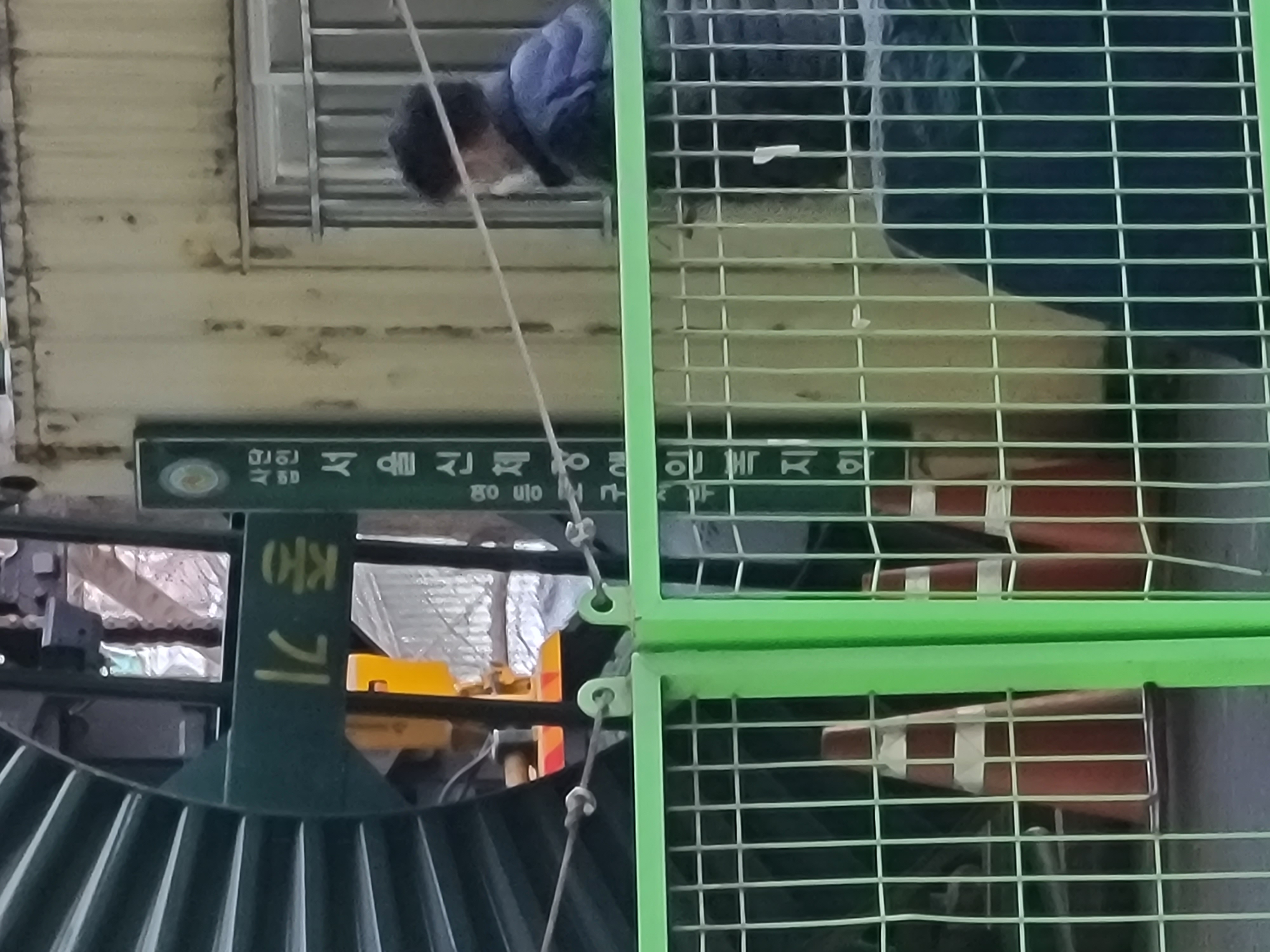 길고양이 막대기 학대