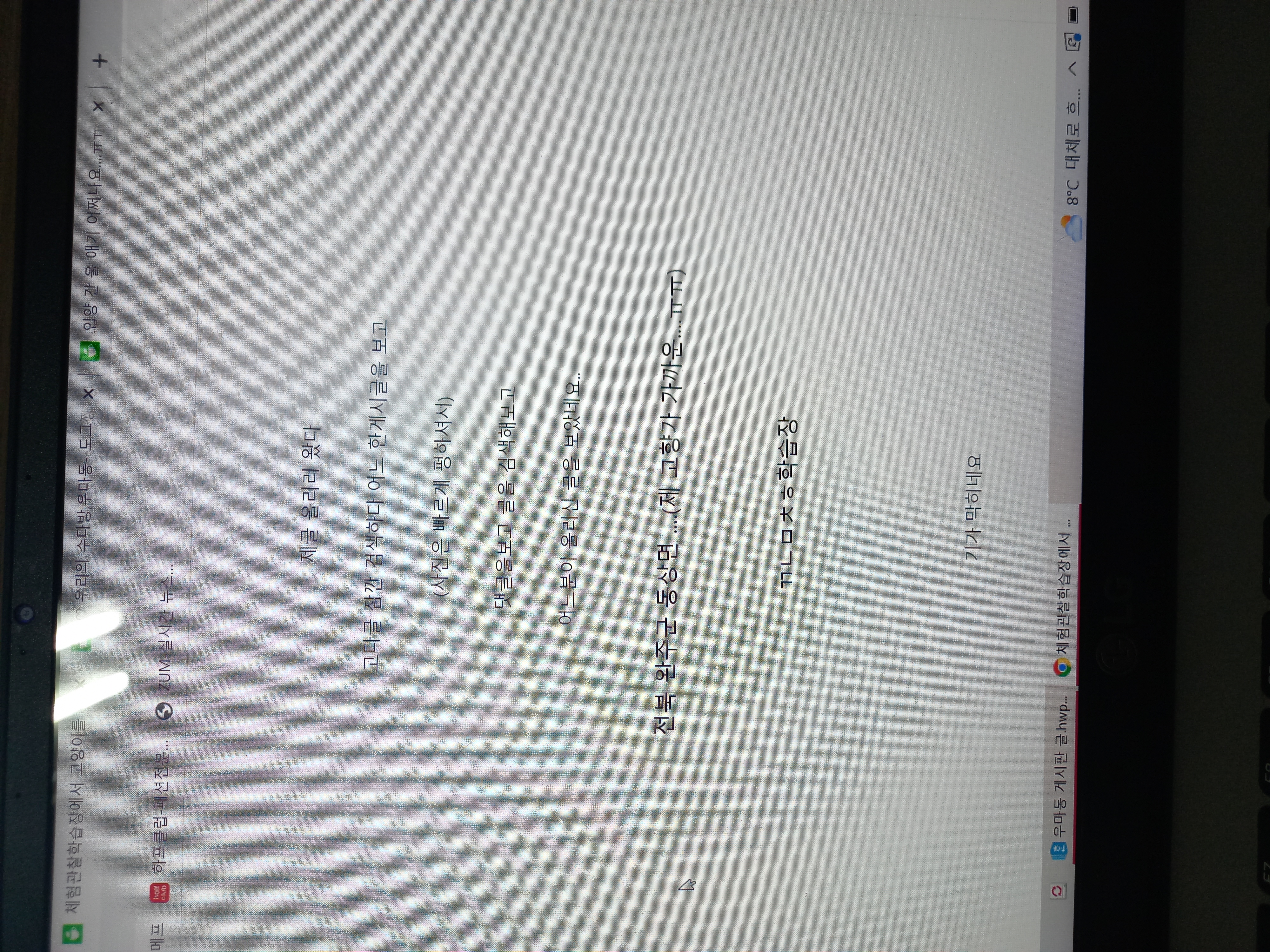 전북 완주군 동상면 체험관찰학습장에서 고양이를 뜬장에 전시하고 아이들이 체험하게 하고 있습니다.